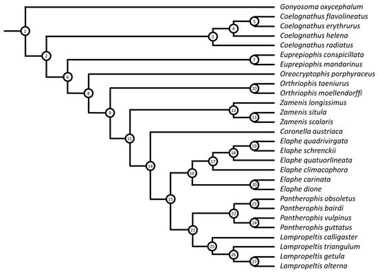 Diversity 15 00628 g001