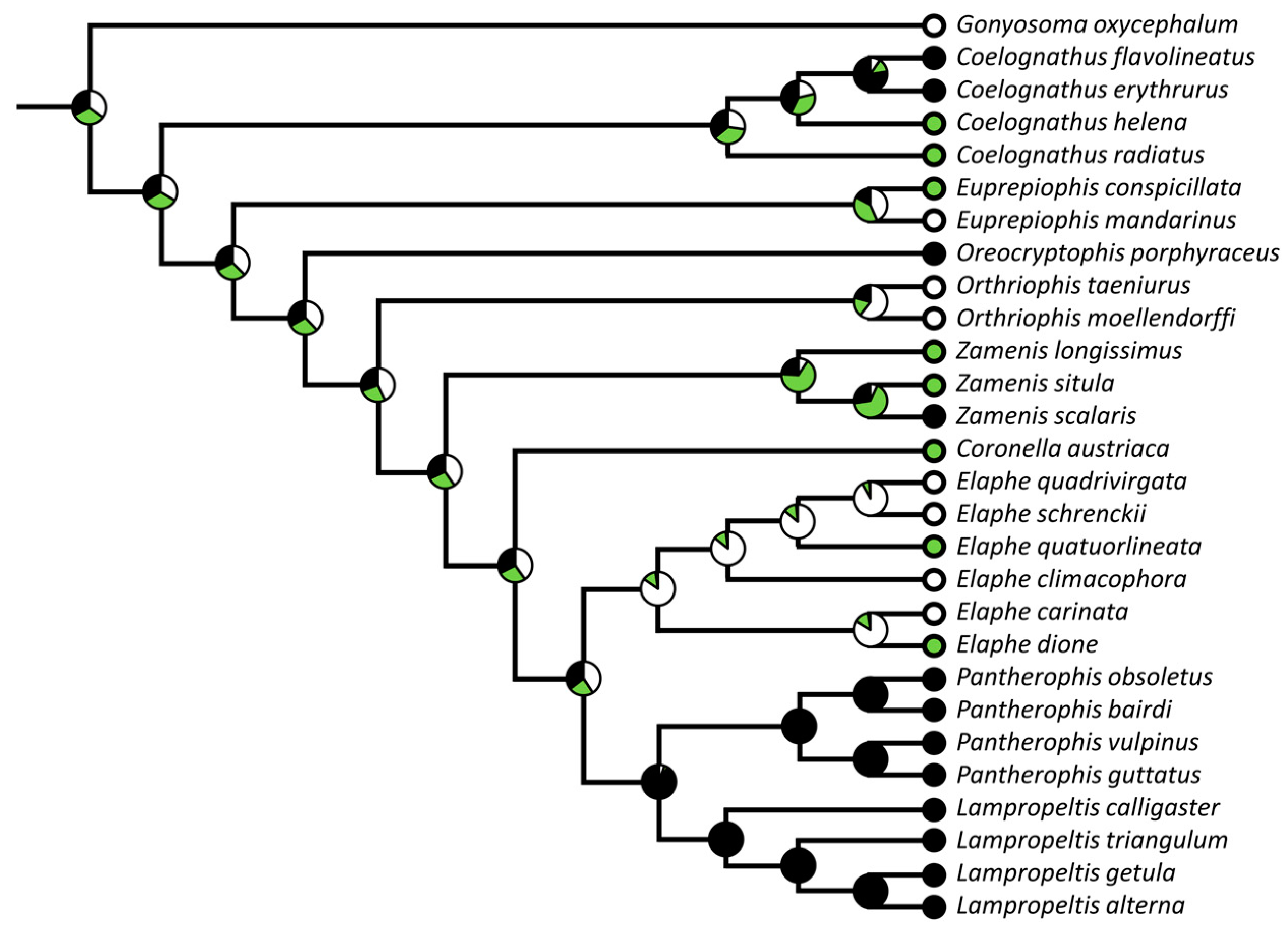 Diversity 15 00628 g004