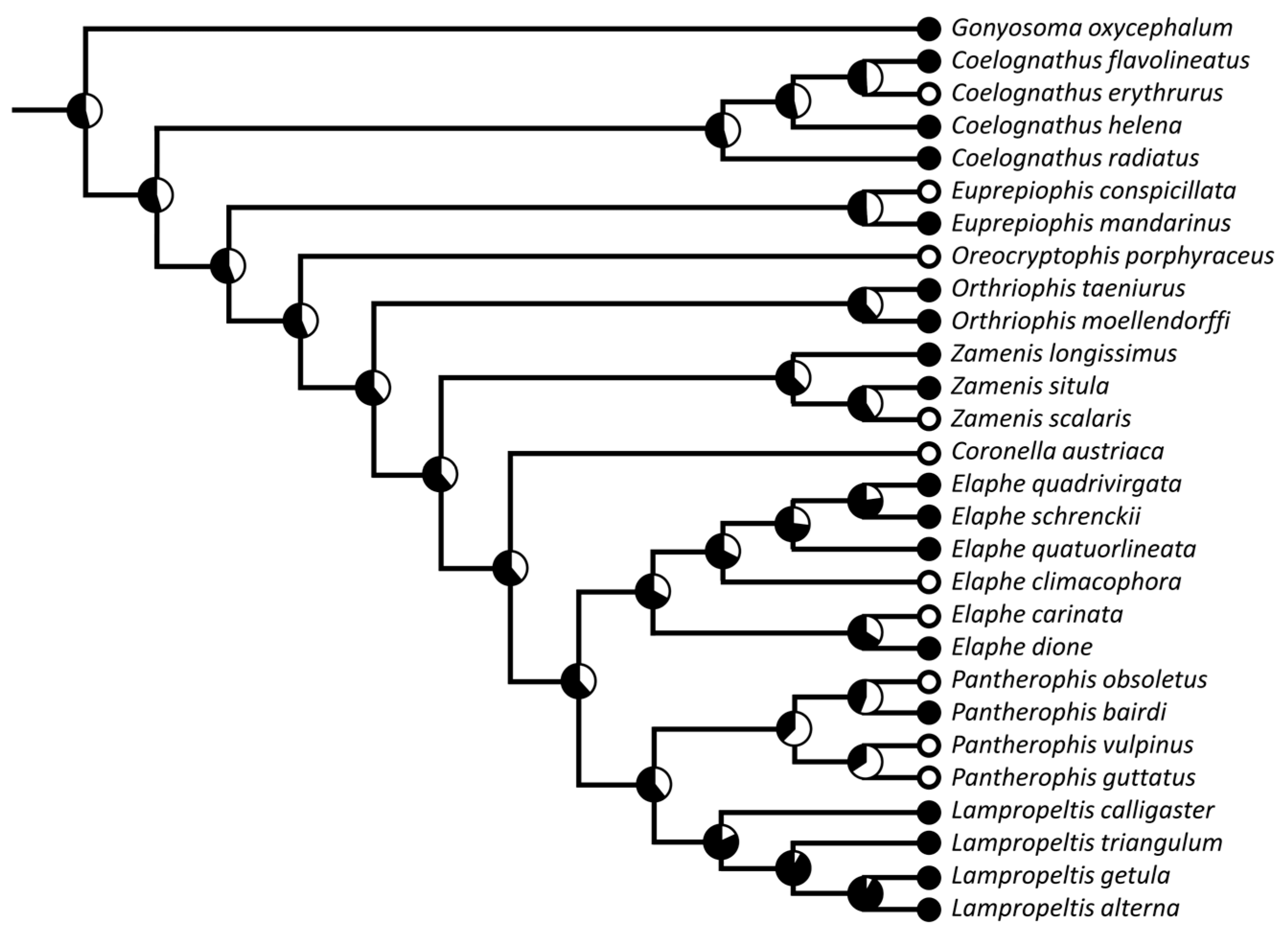 Diversity 15 00628 g005