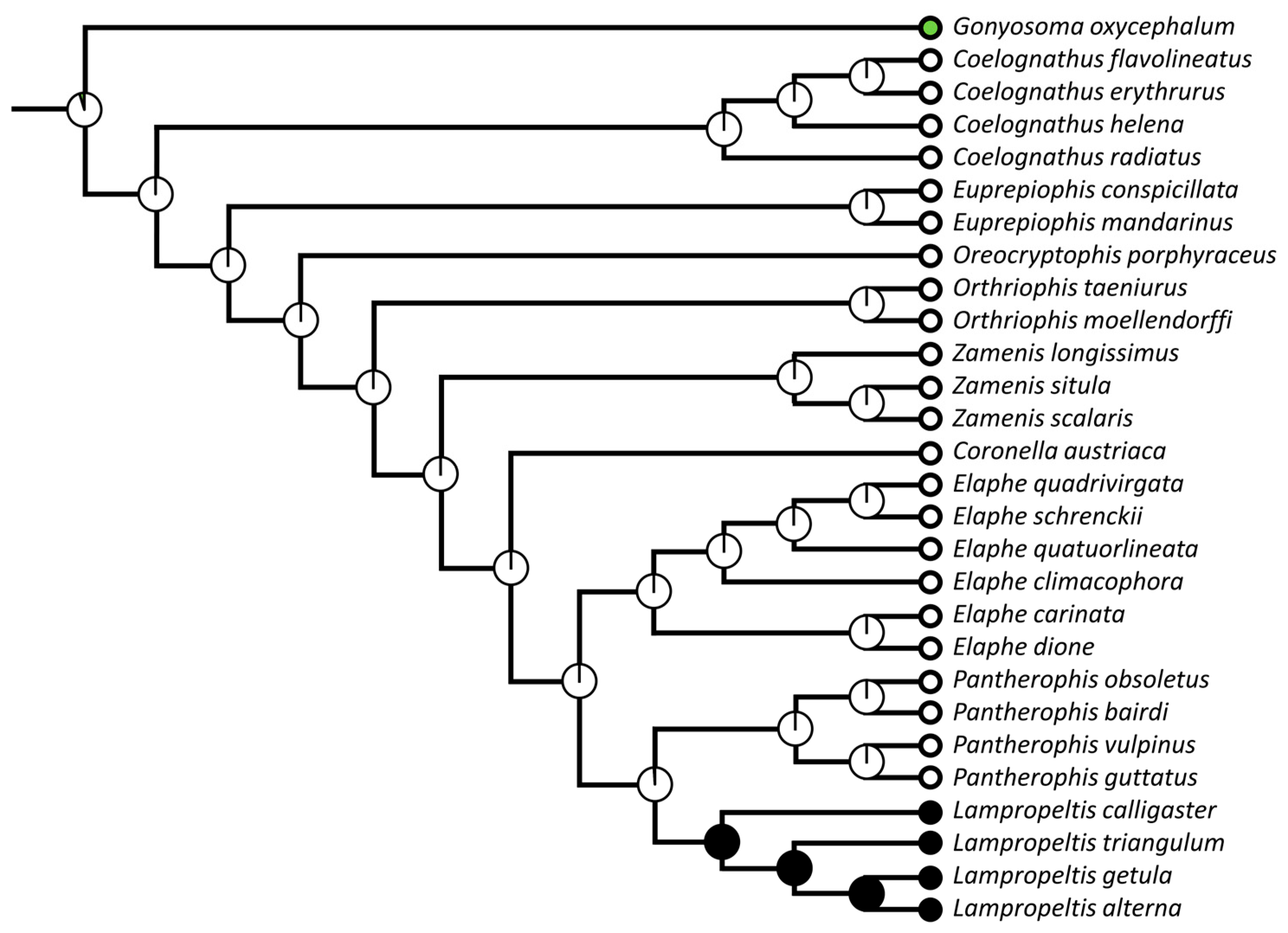 Diversity 15 00628 g006
