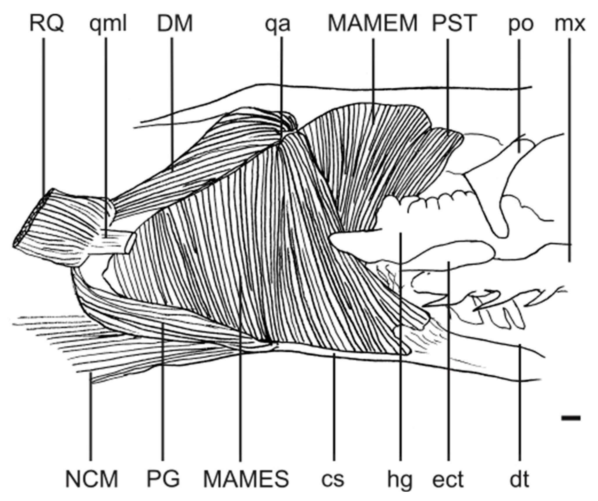 Diversity 15 00628 g007