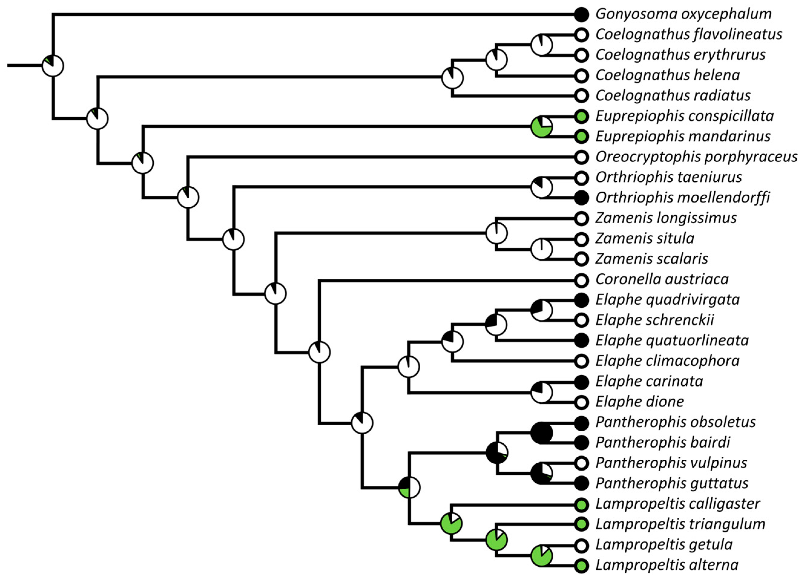Diversity 15 00628 g008
