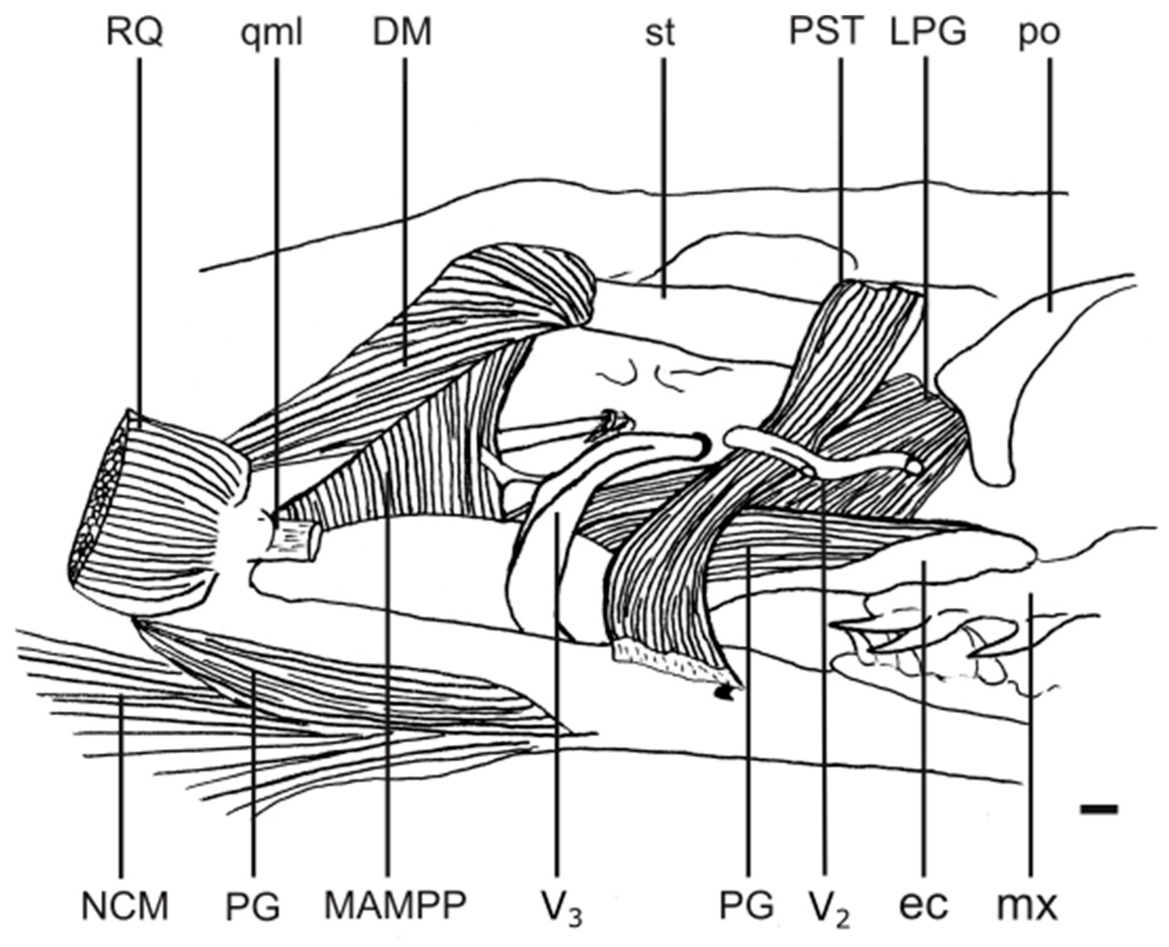Diversity 15 00628 g011