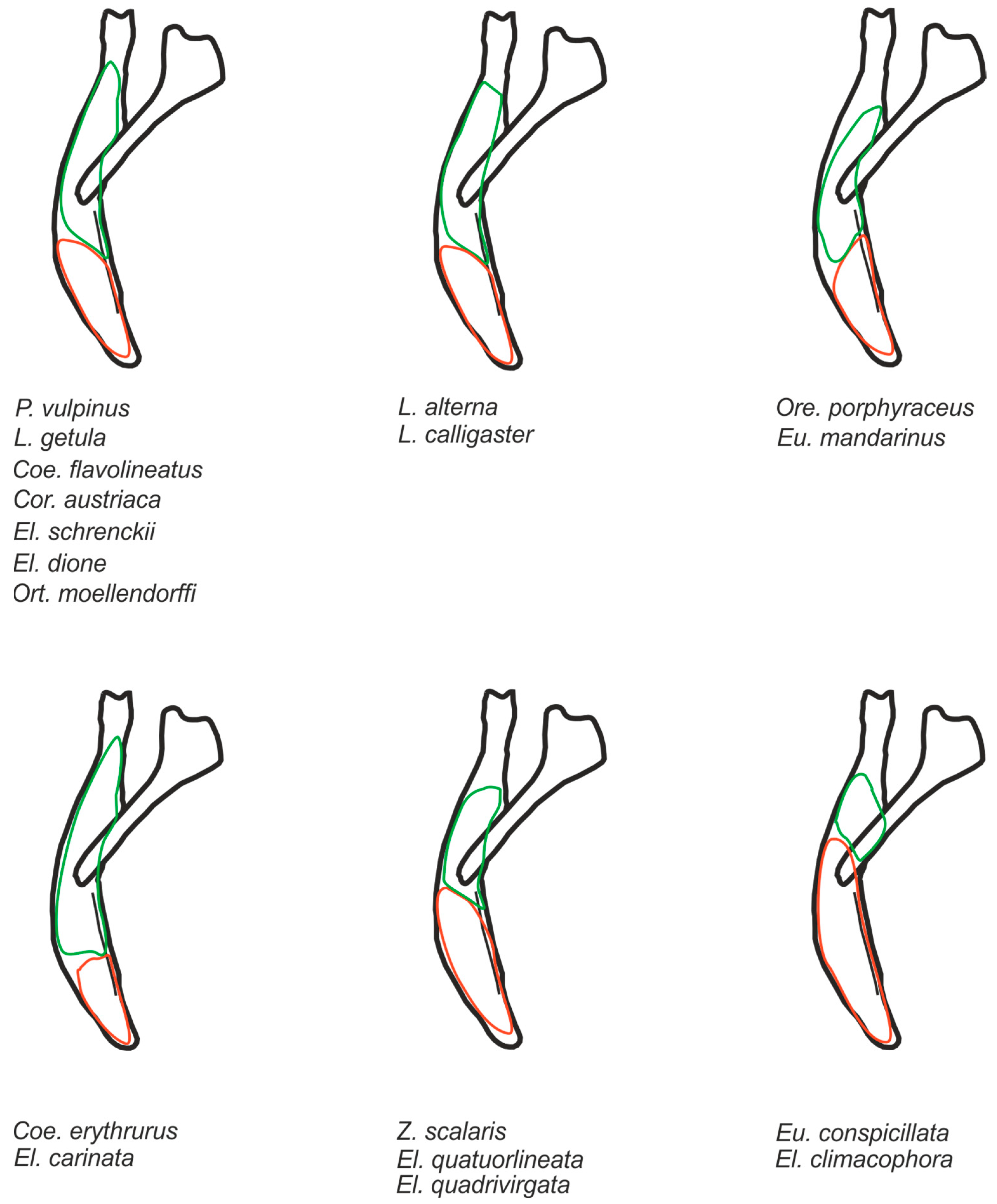 Diversity 15 00628 g015