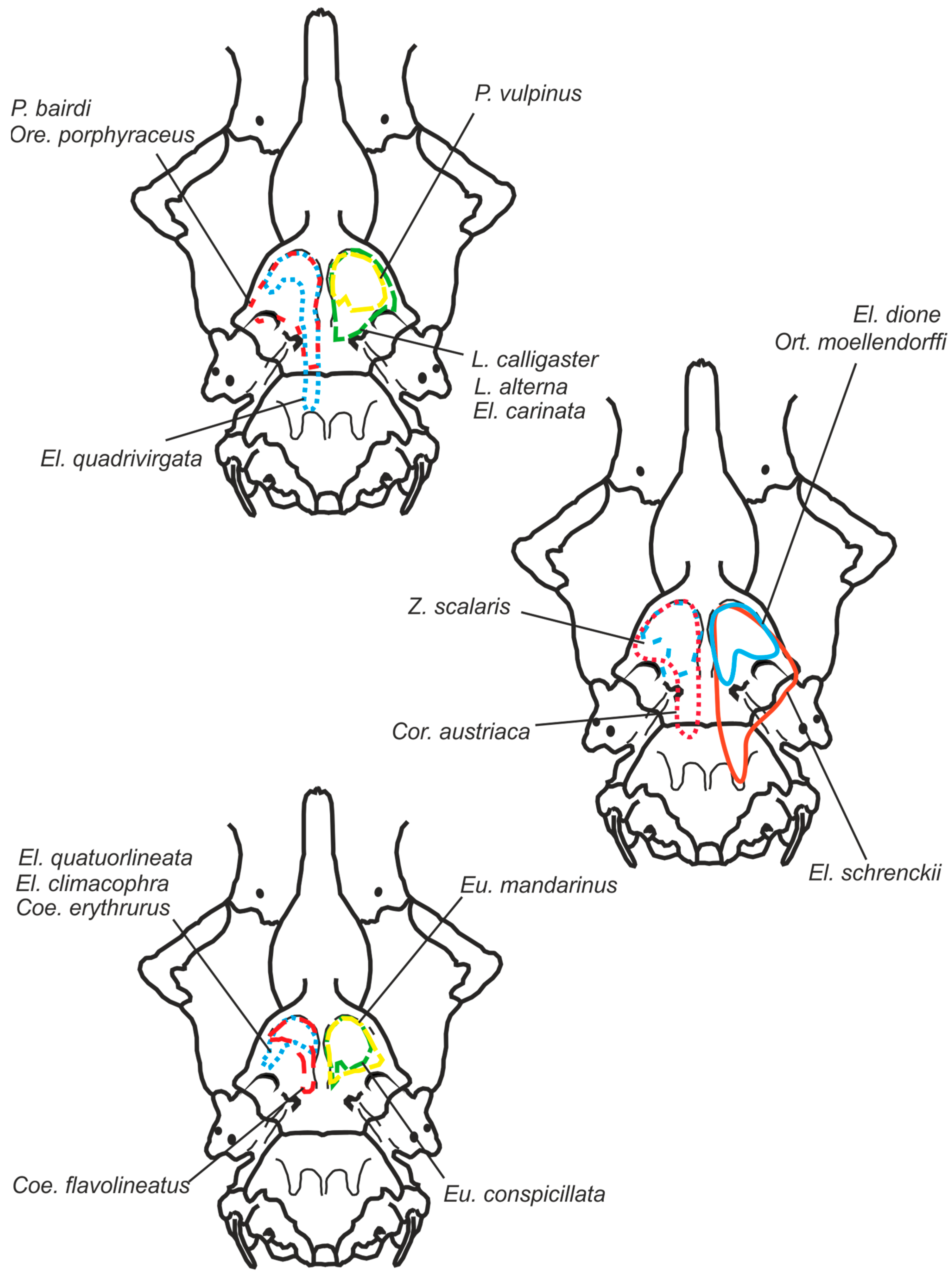 Diversity 15 00628 g016