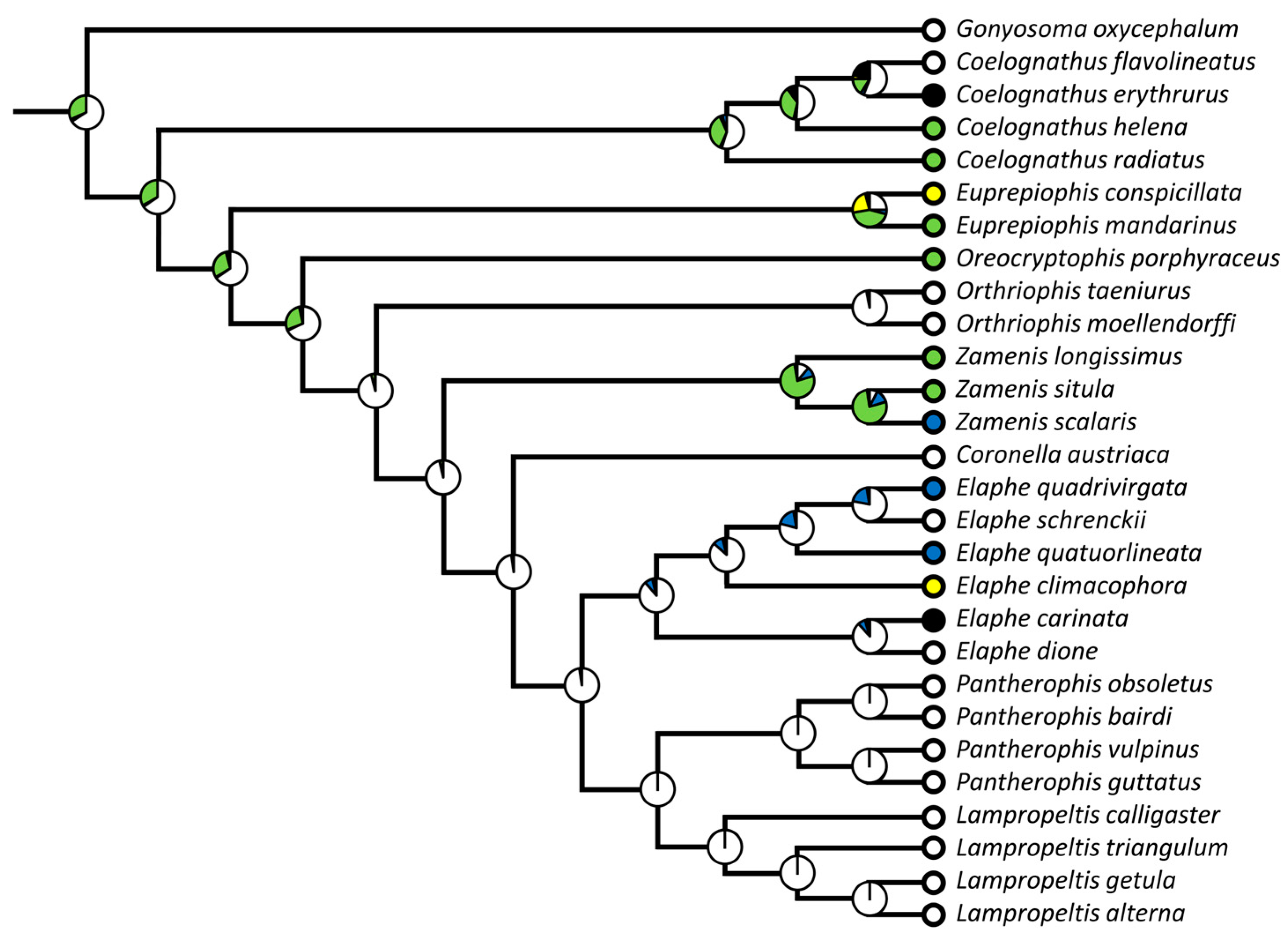 Diversity 15 00628 g017