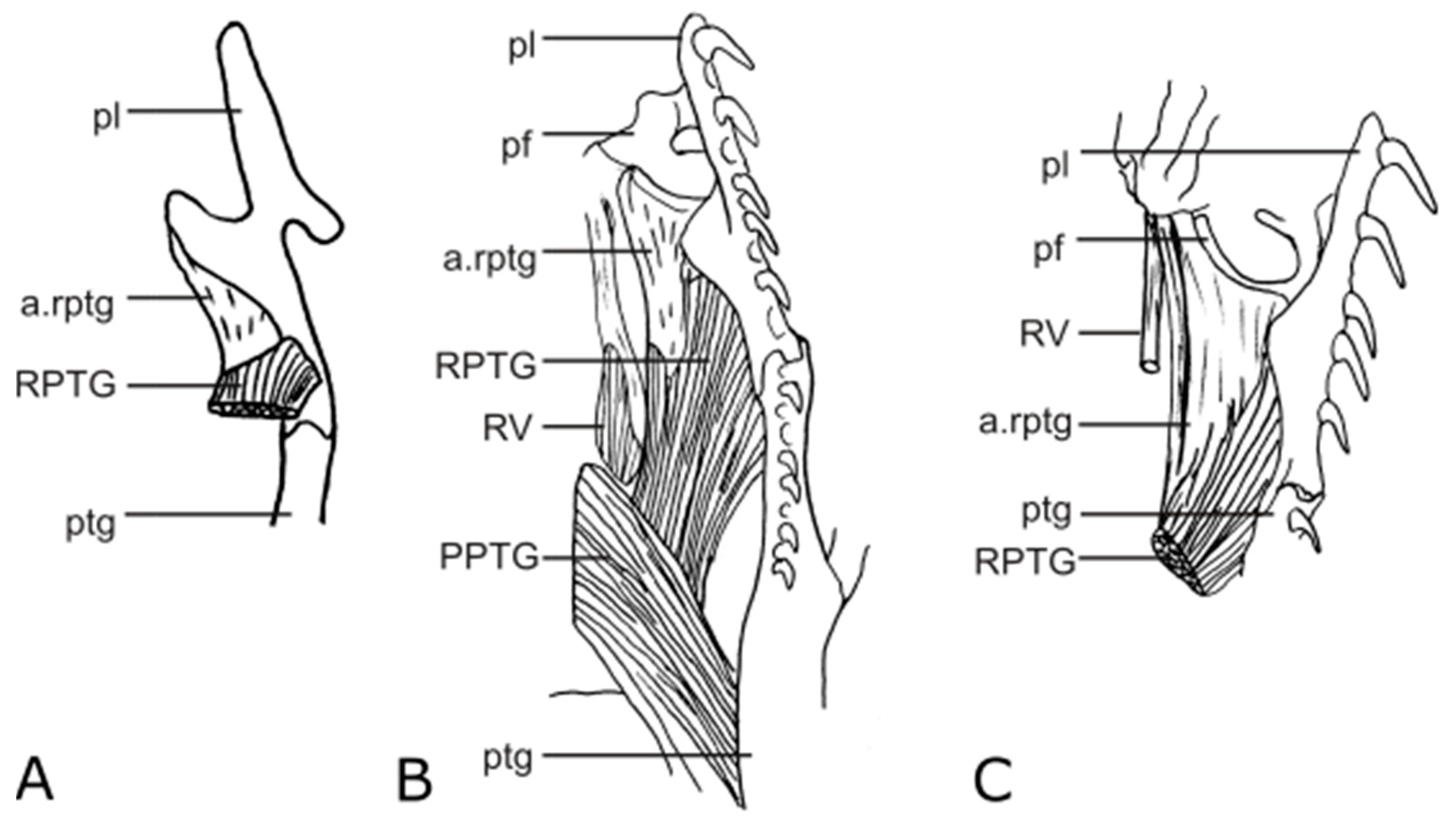 Diversity 15 00628 g019