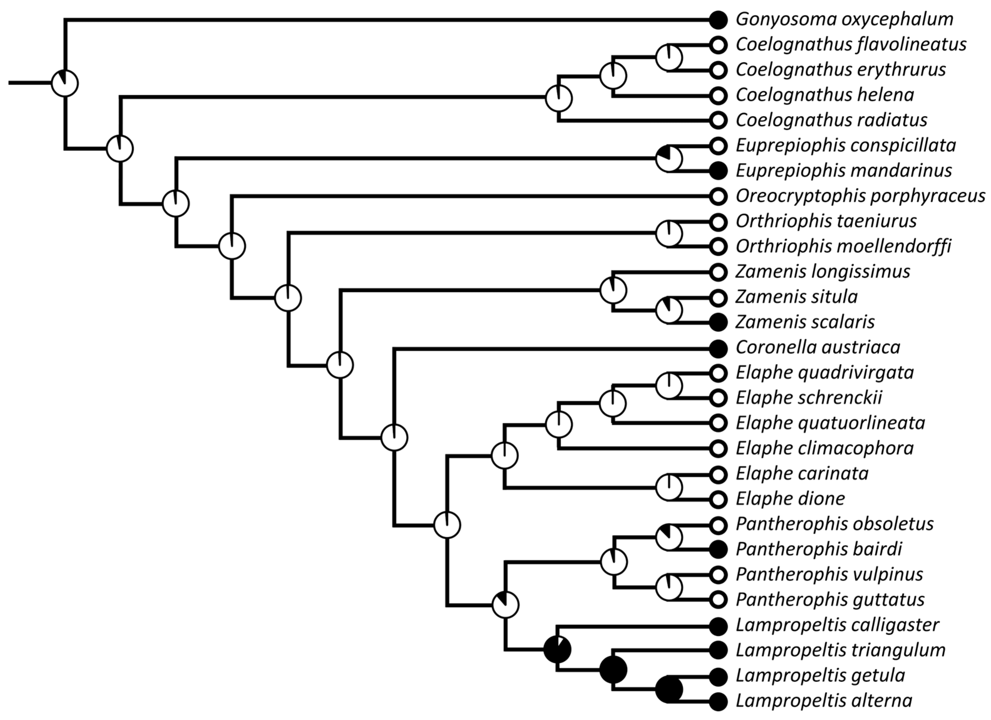 Diversity 15 00628 g021