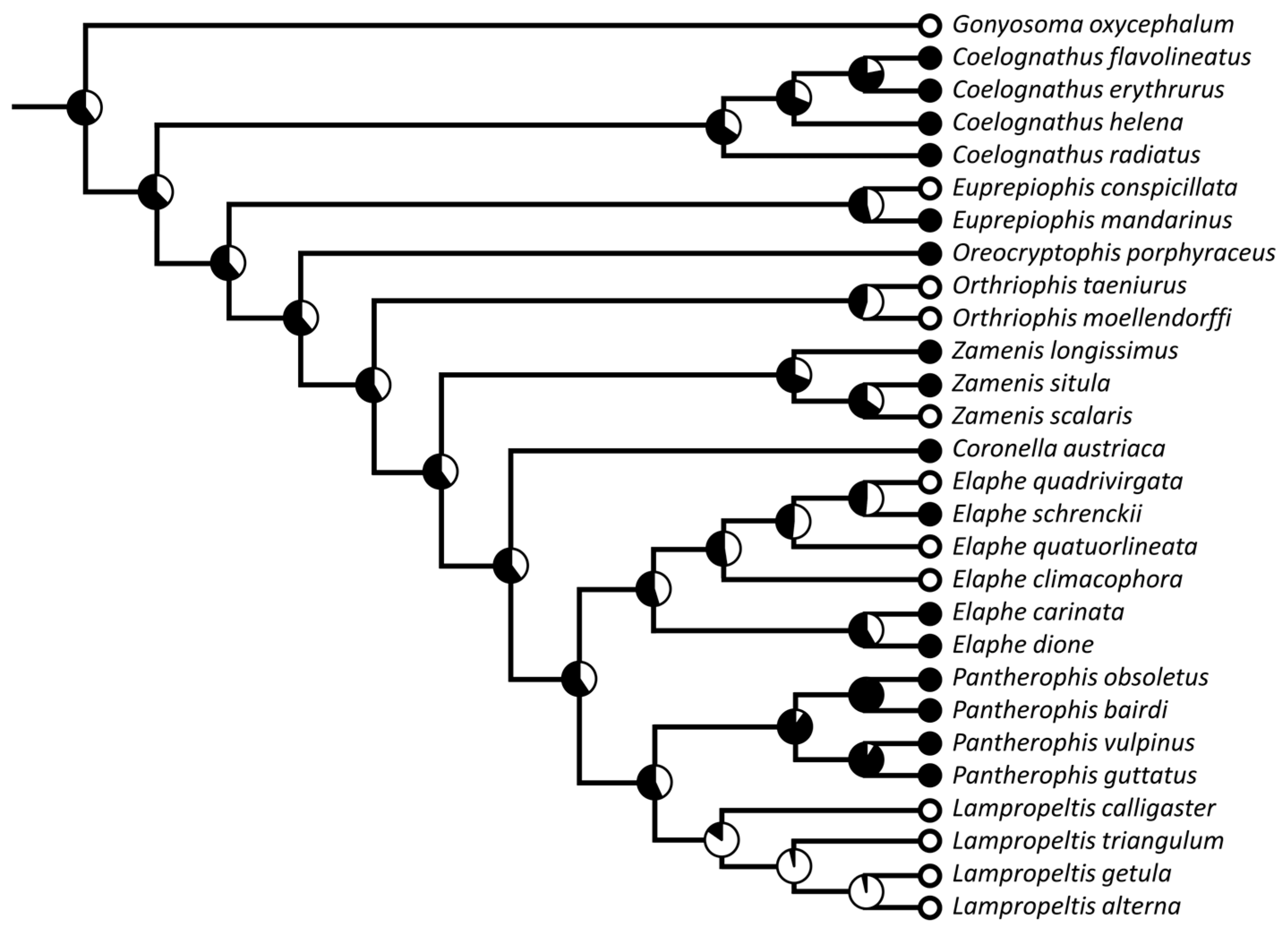 Diversity 15 00628 g022