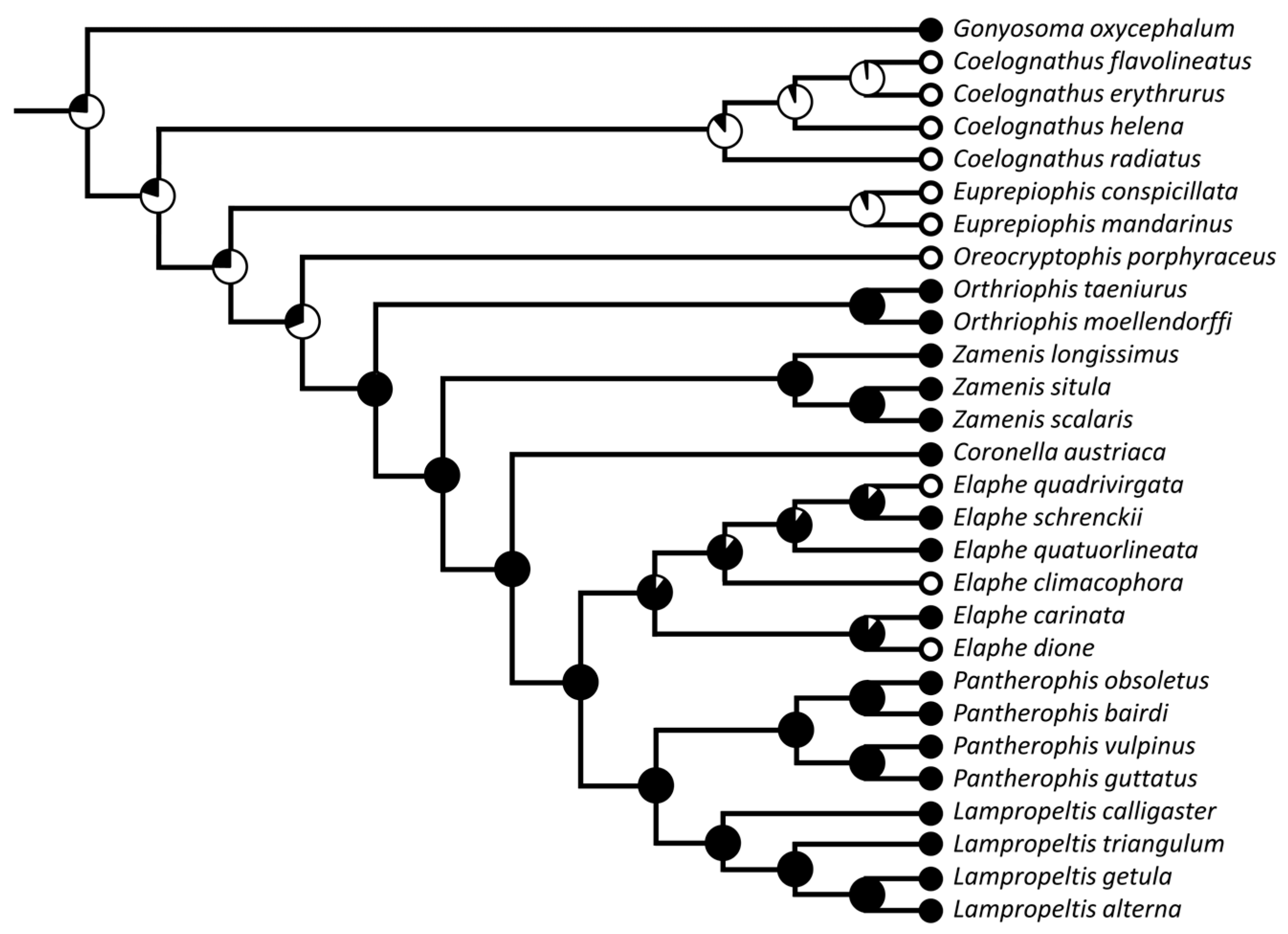 Diversity 15 00628 g023