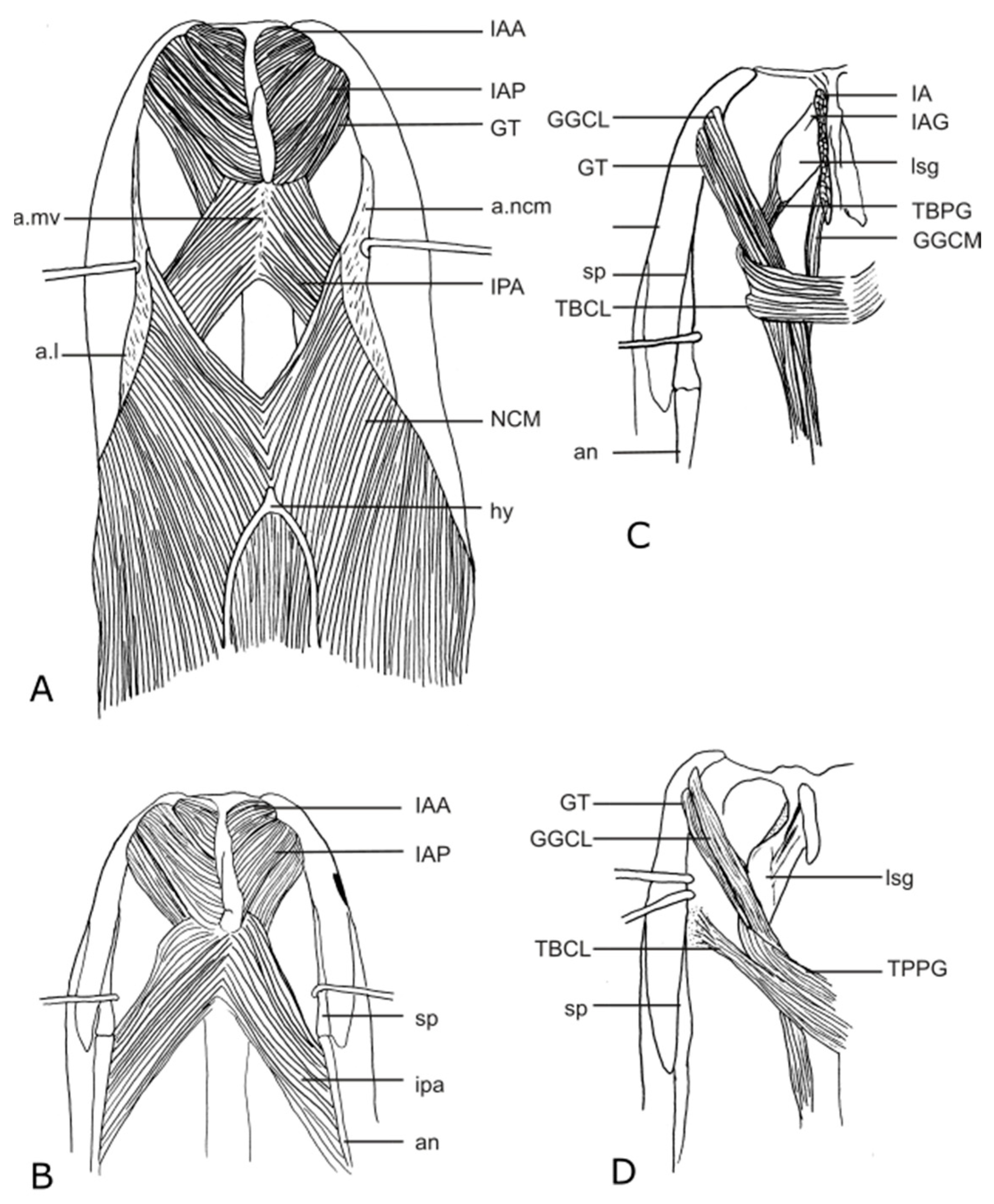Diversity 15 00628 g024