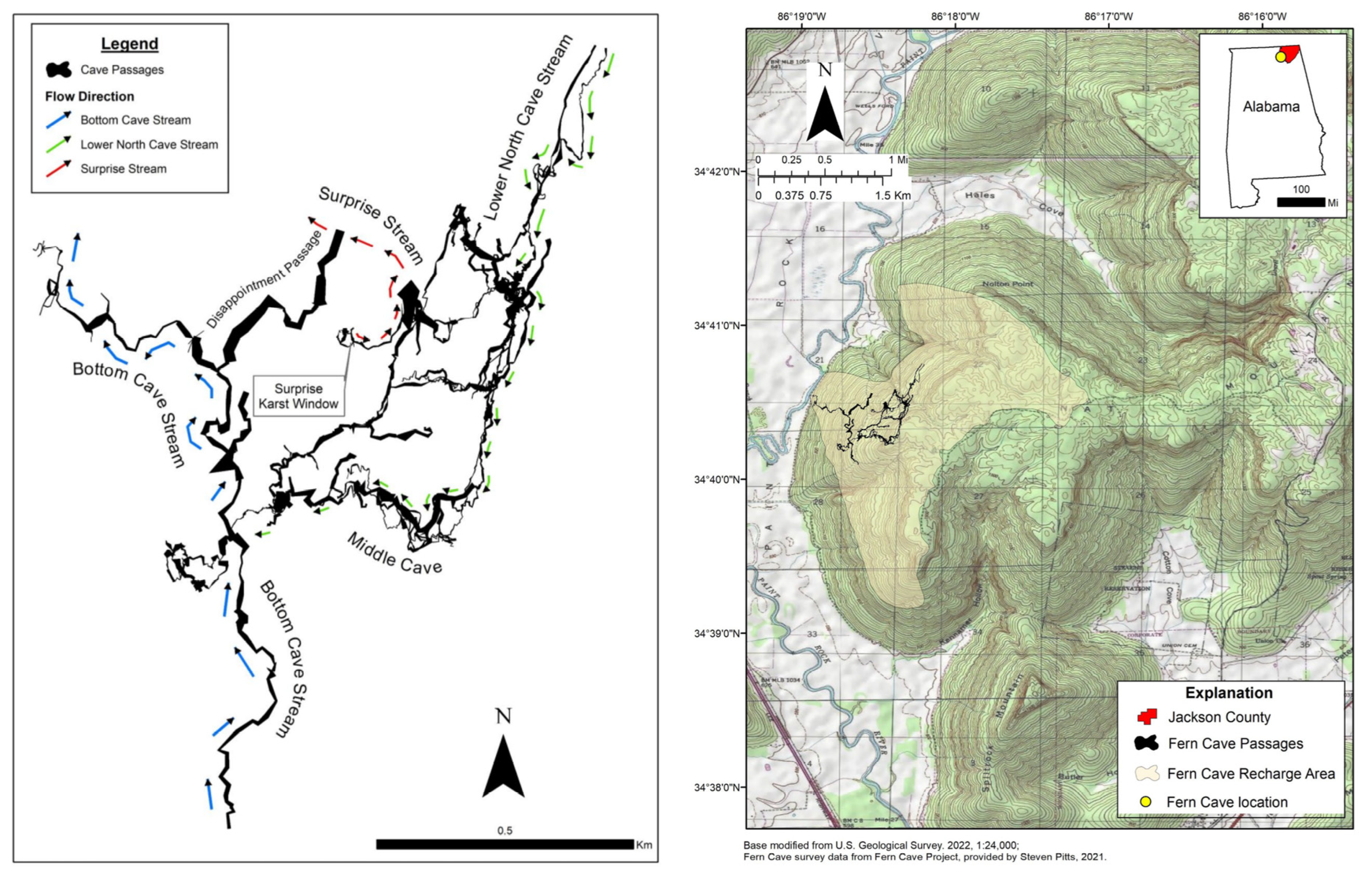Diversity 15 00633 g001