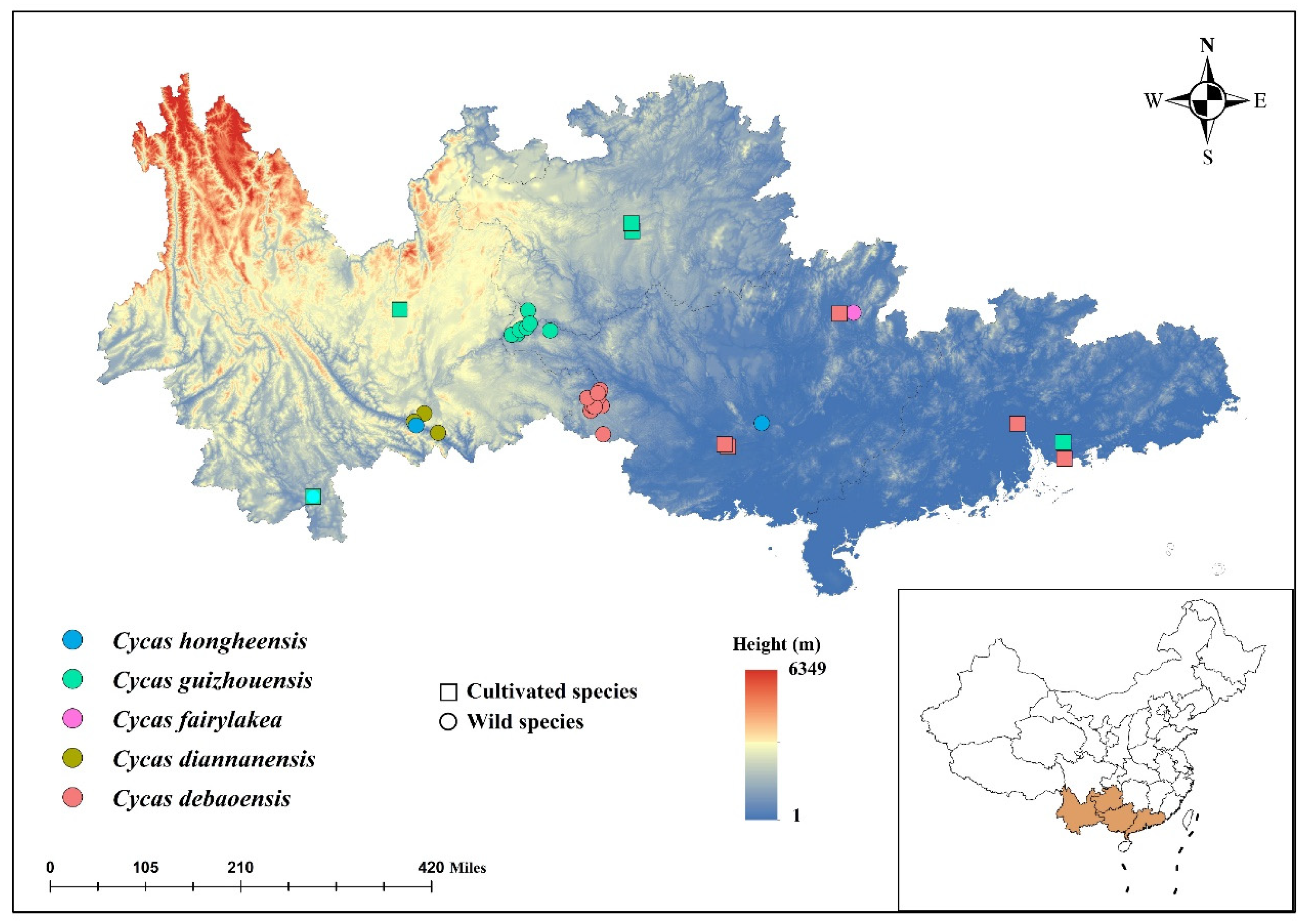 Diversity 15 00643 g001 Diversity 15 00643 g001