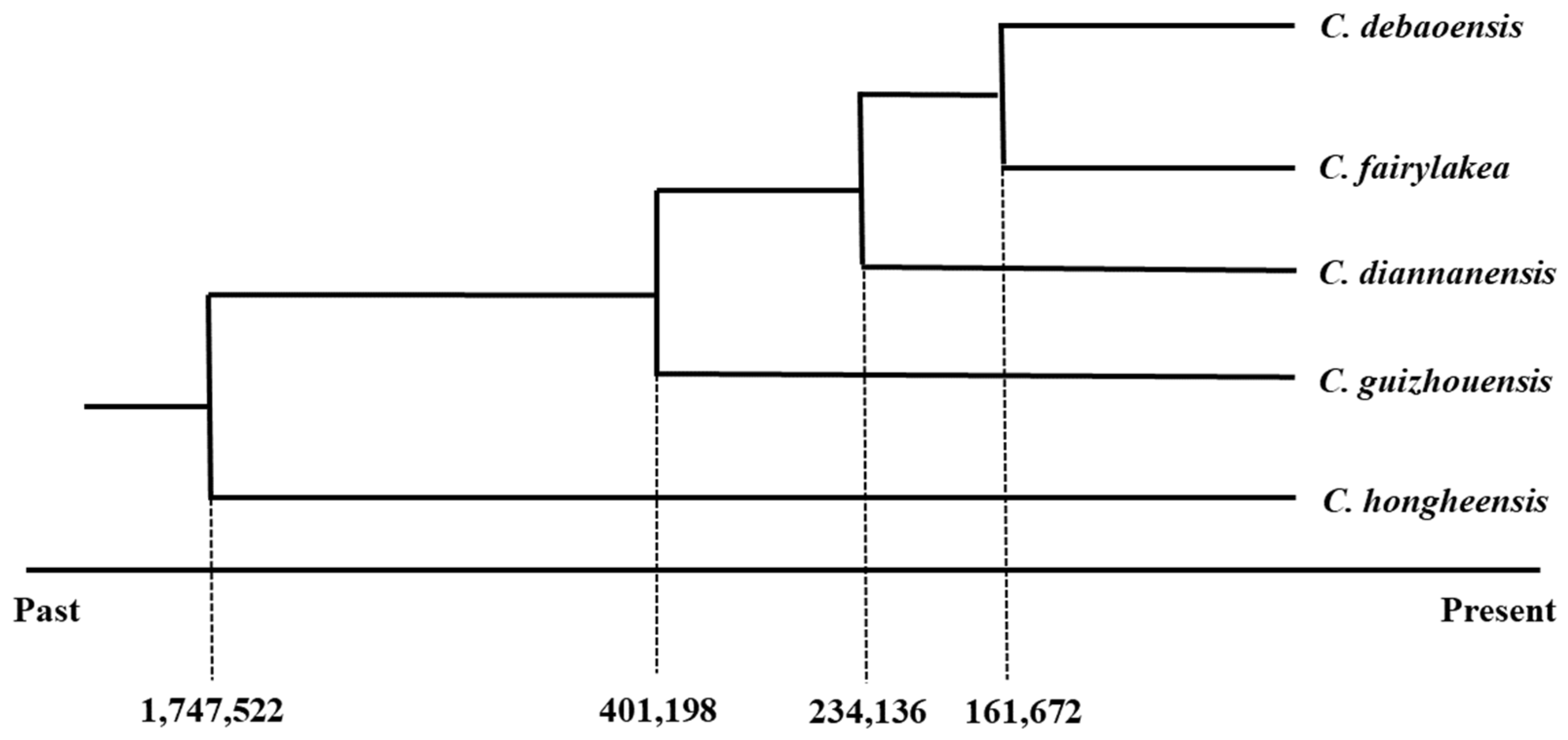 Diversity 15 00643 g005 Diversity 15 00643 g005