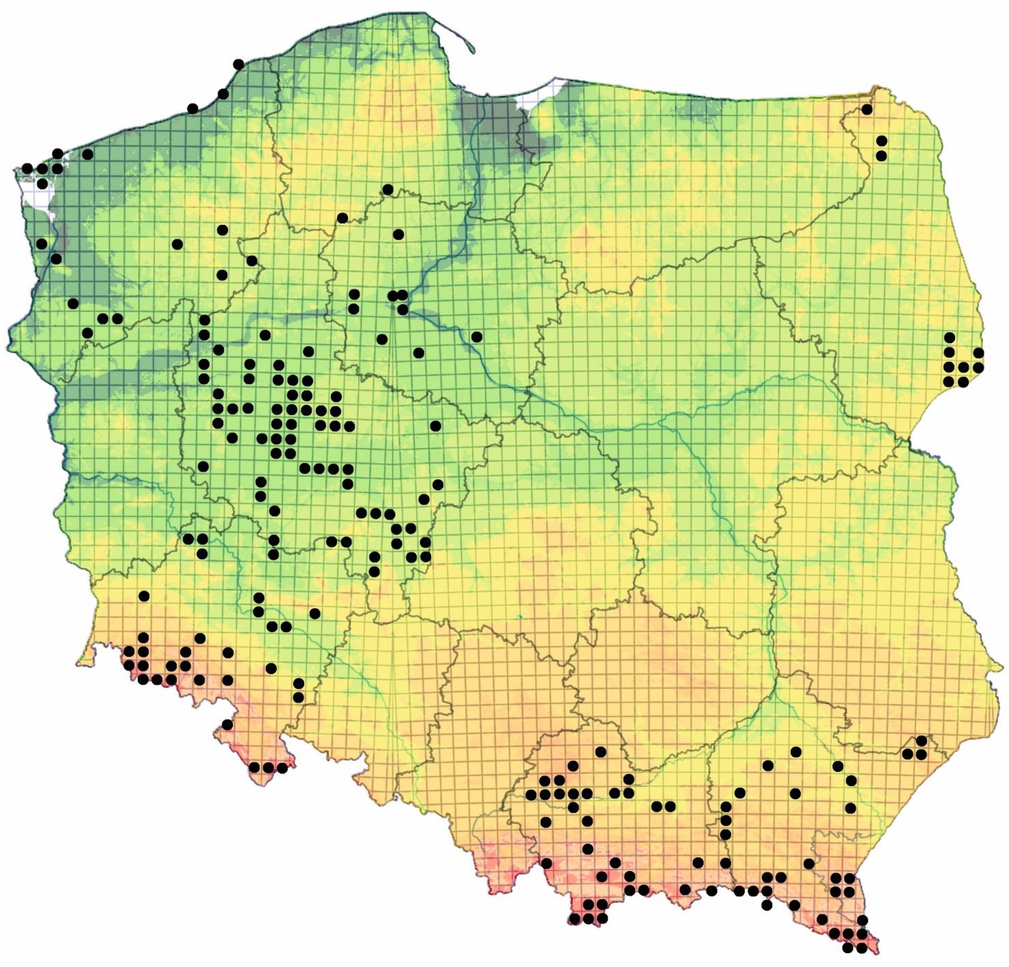 Diversity 15 00646 g001