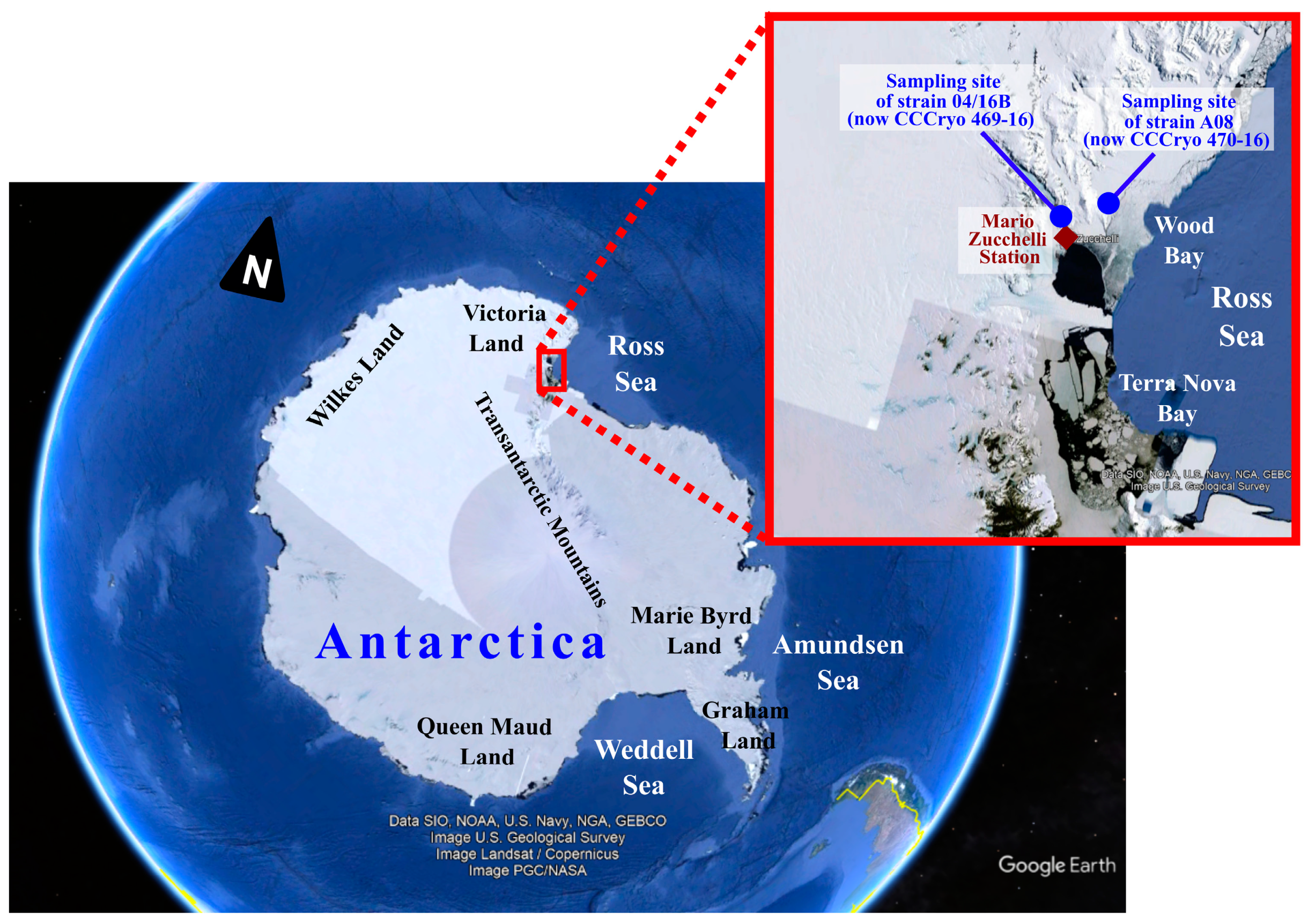 Diversity 15 00650 g001 Diversity 15 00650 g001