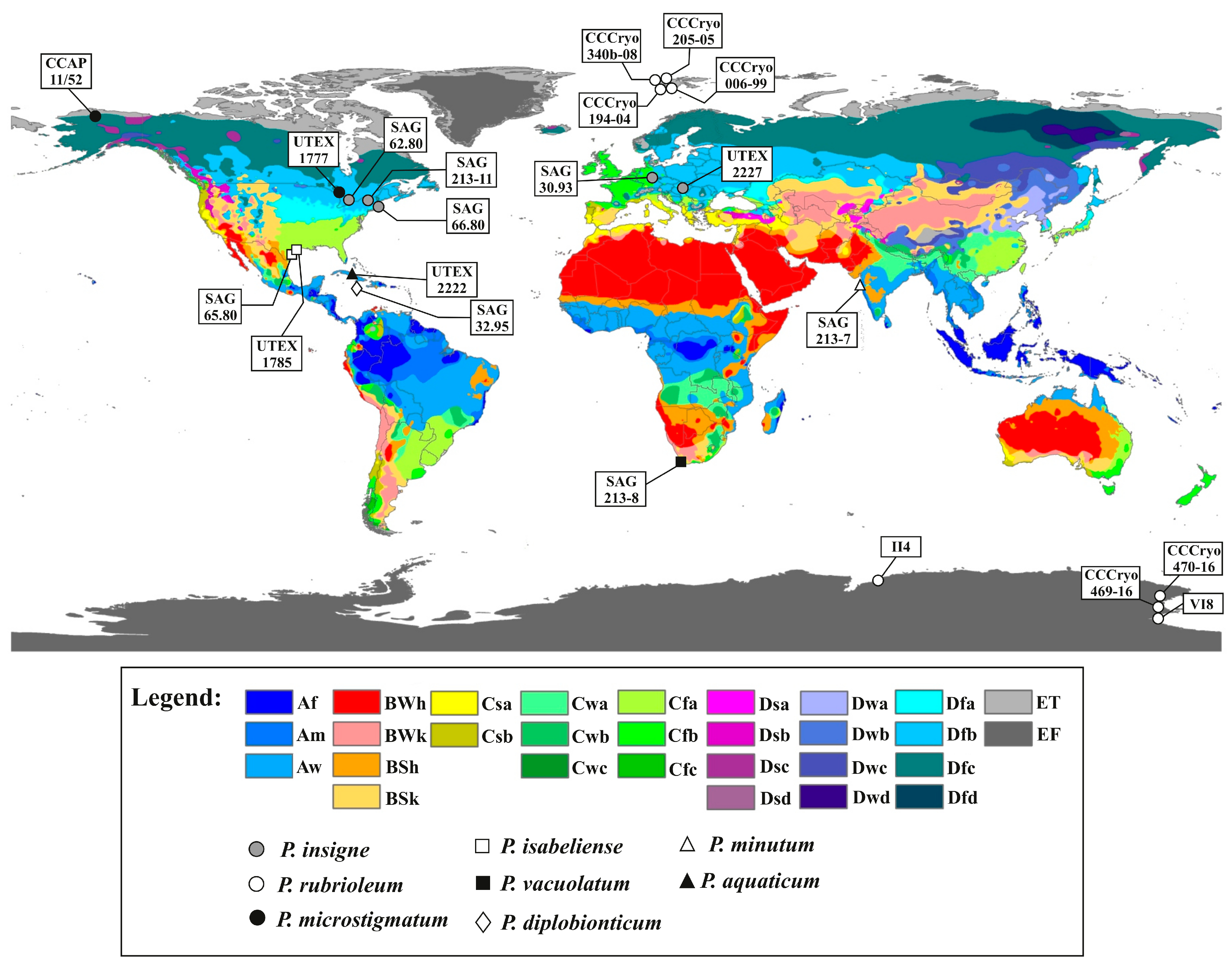 Diversity 15 00650 g013 Diversity 15 00650 g013