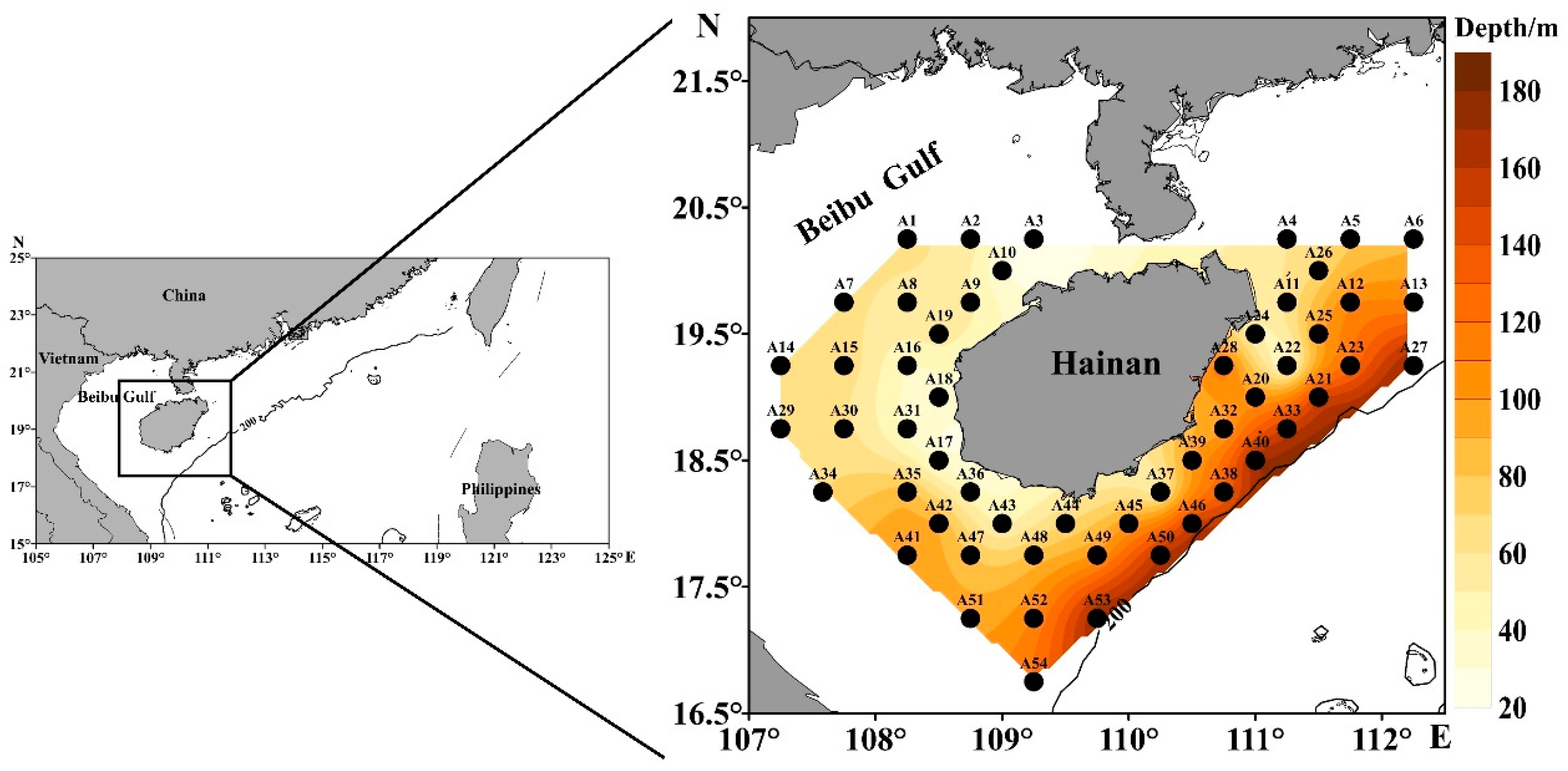 Diversity 15 00659 g001