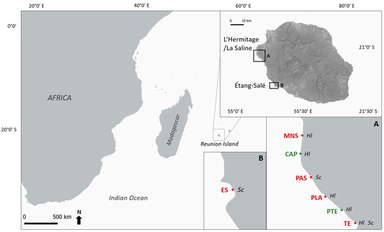 Diversity 15 00670 g001