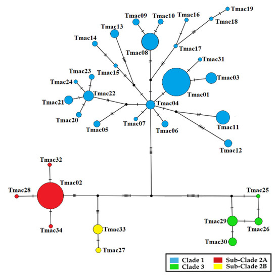 Diversity 15 00671 g0a1