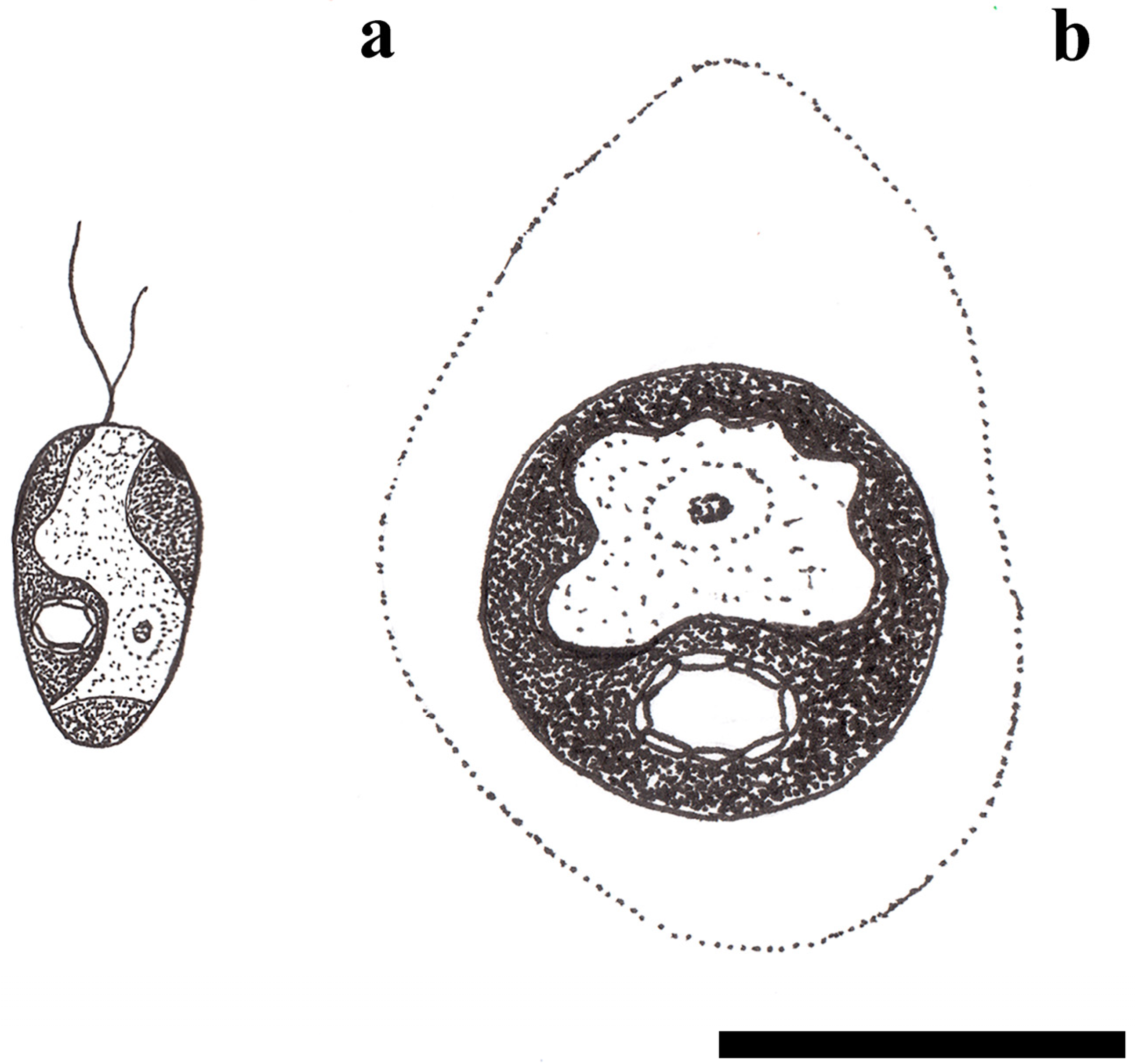 Diversity 15 00673 g002 Diversity 15 00673 g002
