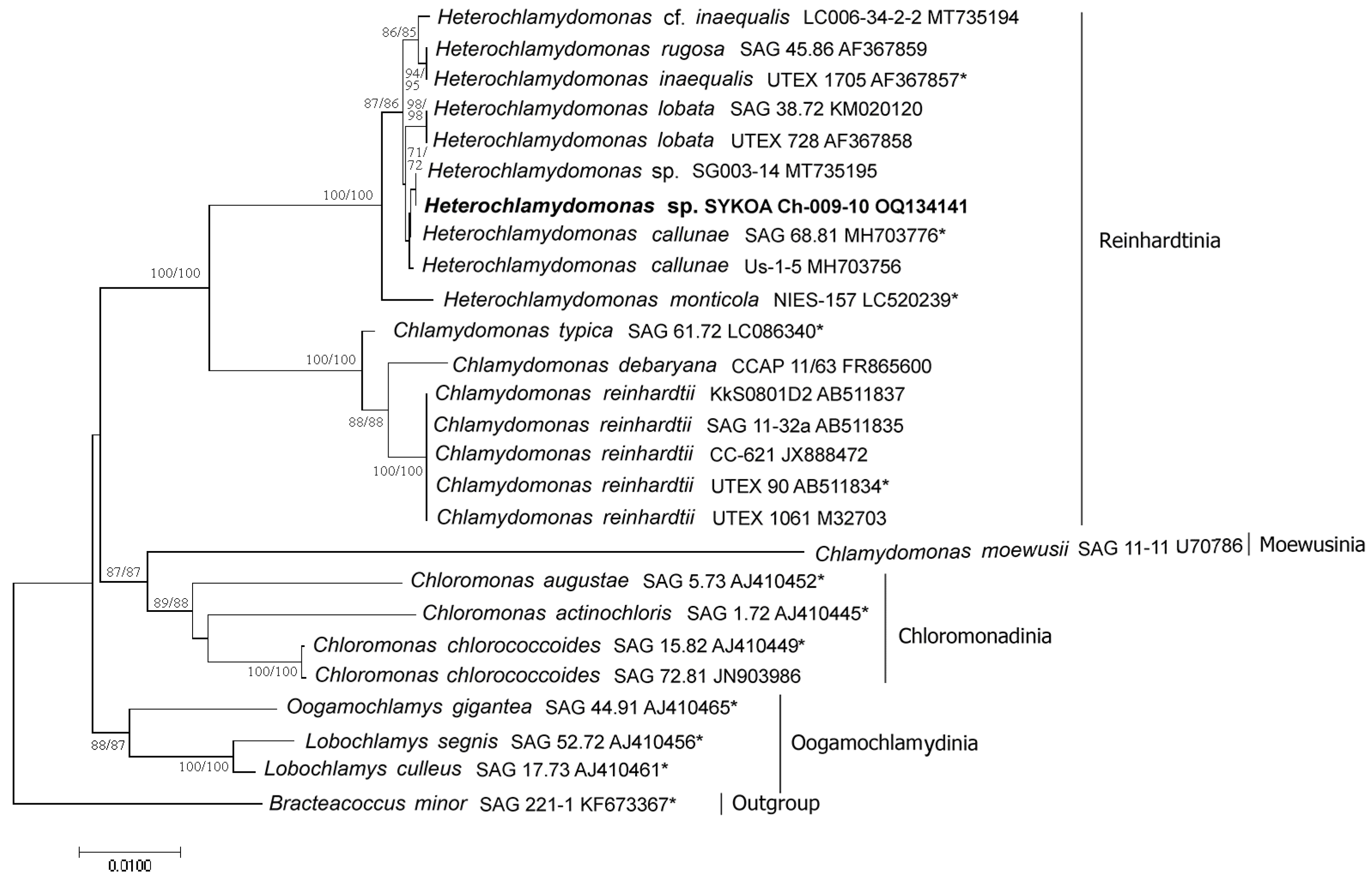 Diversity 15 00673 g005 Diversity 15 00673 g005