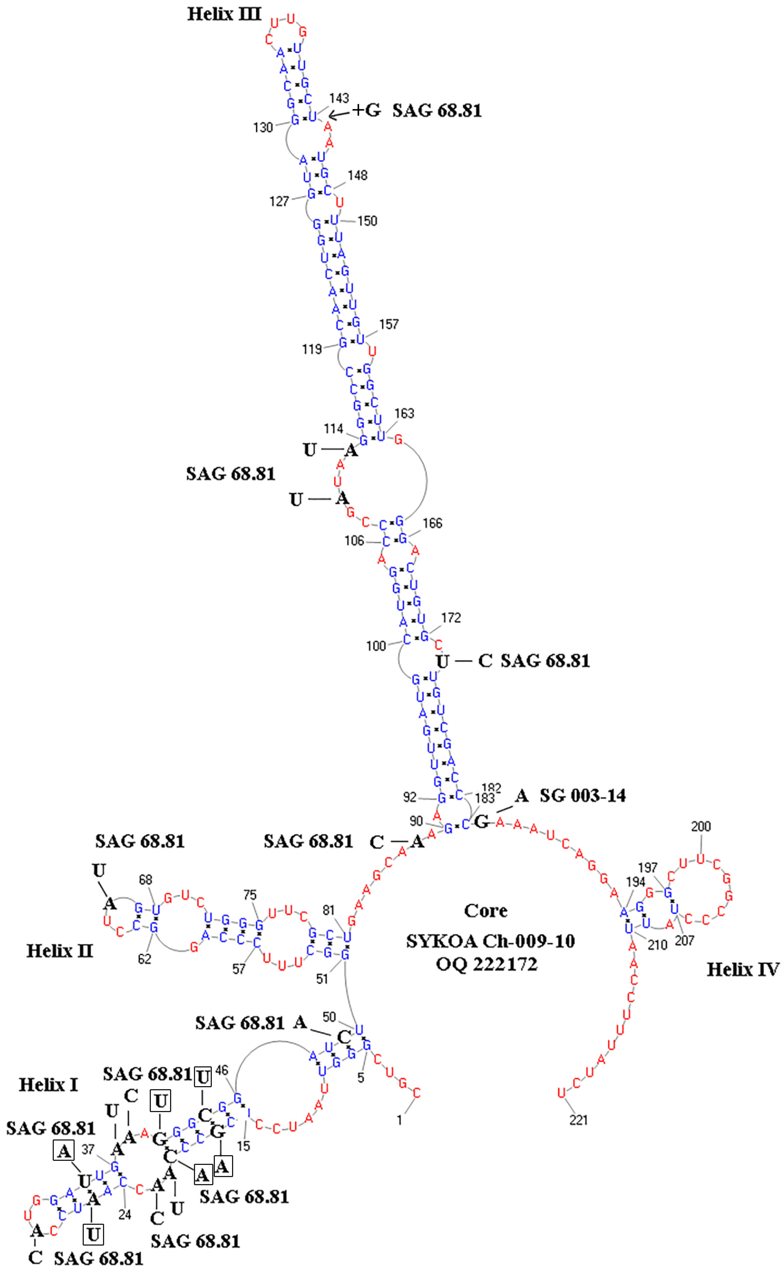 Diversity 15 00673 g007 Diversity 15 00673 g007