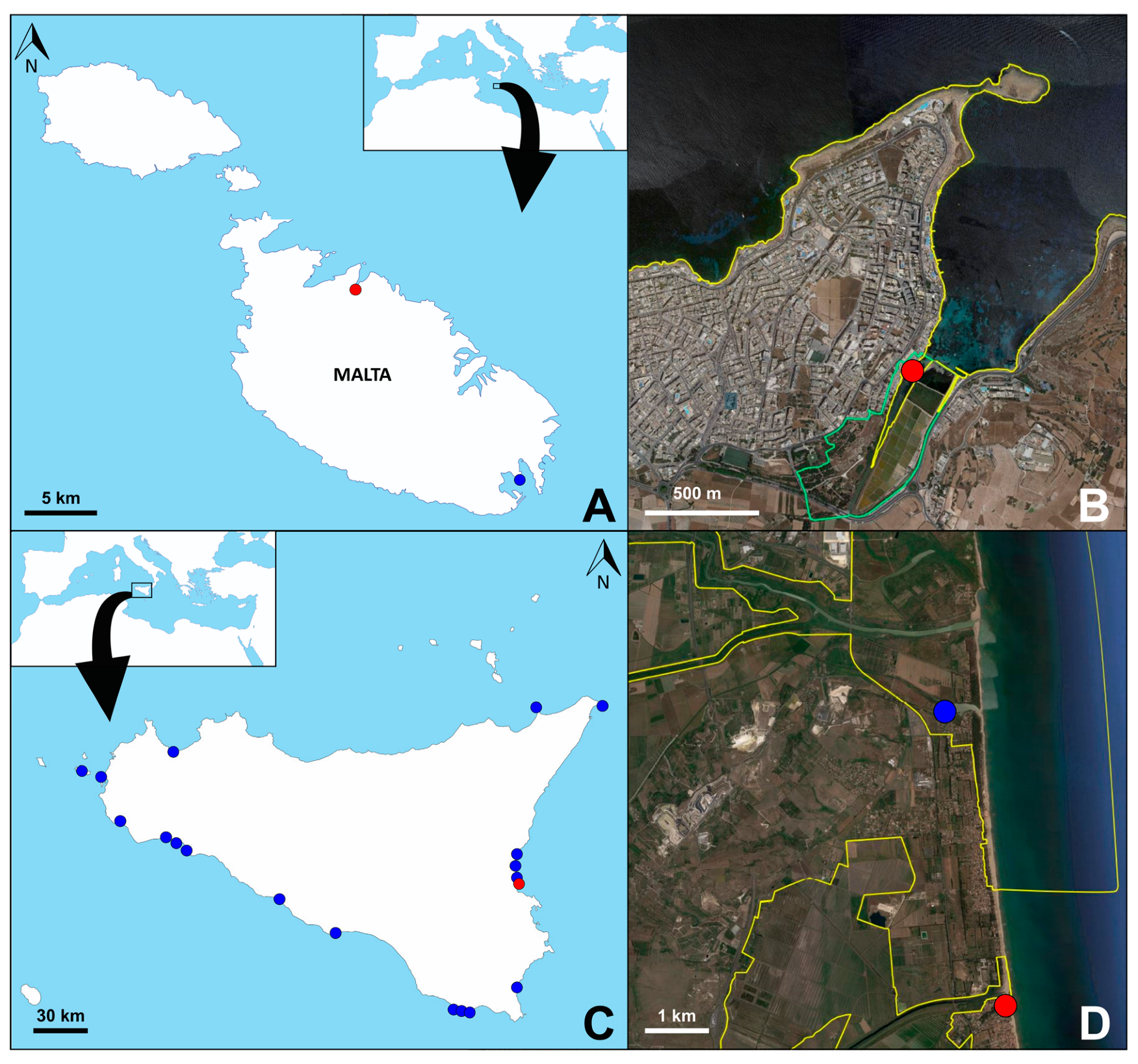 Diversity 15 00679 g001