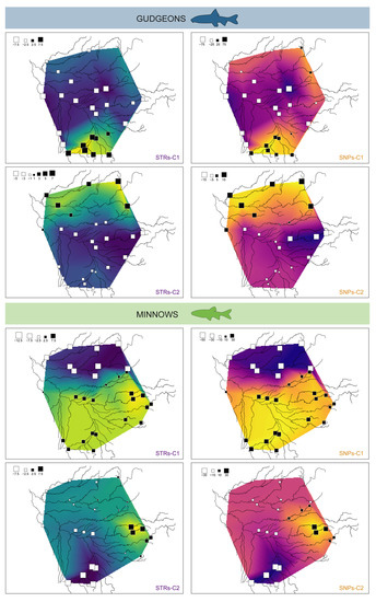 Diversity 15 00681 g0a3