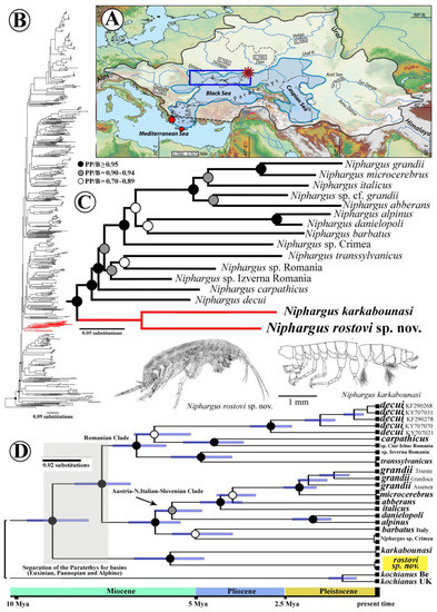 Diversity 15 00682 g001