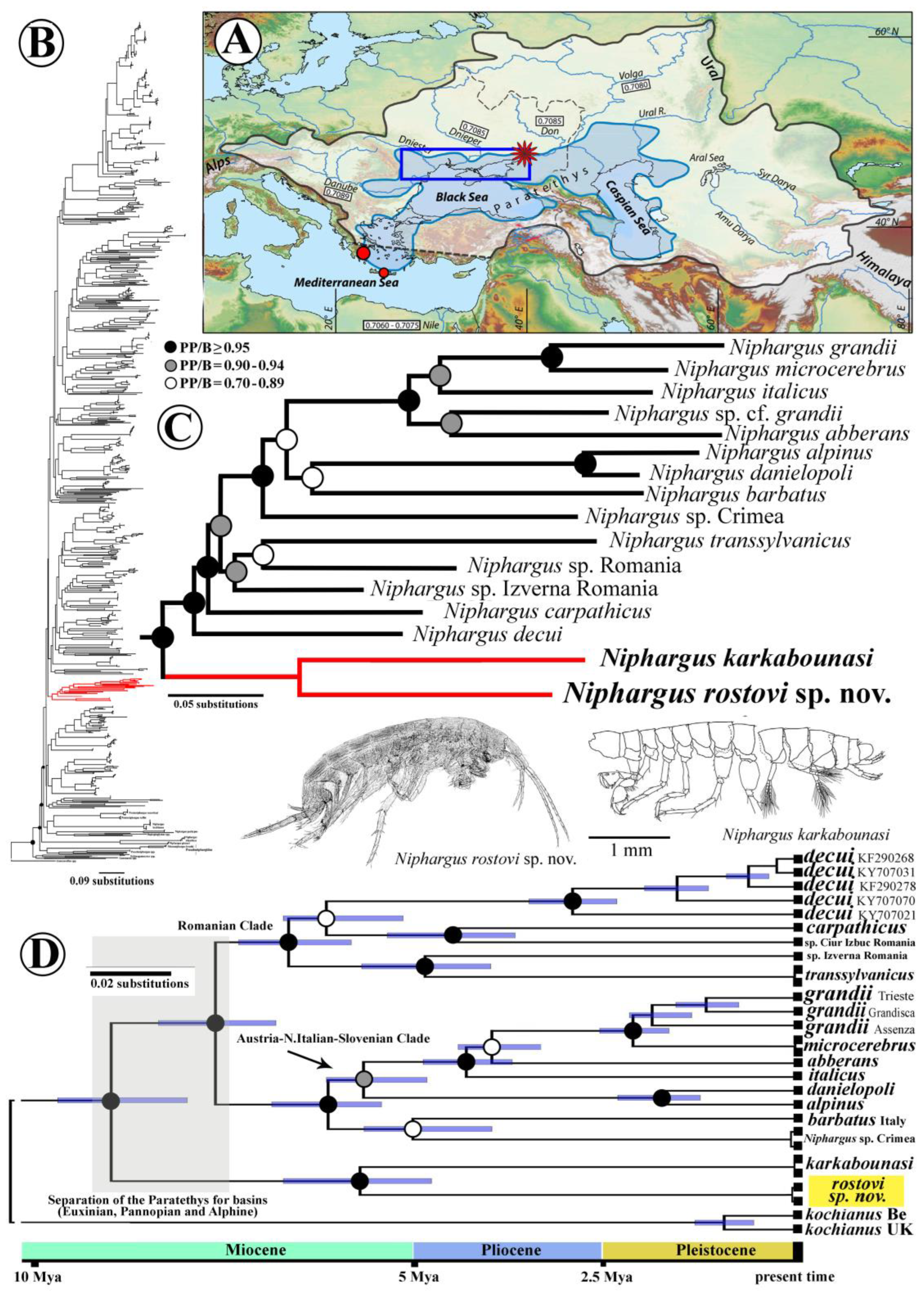 Diversity 15 00682 g001 Diversity 15 00682 g001