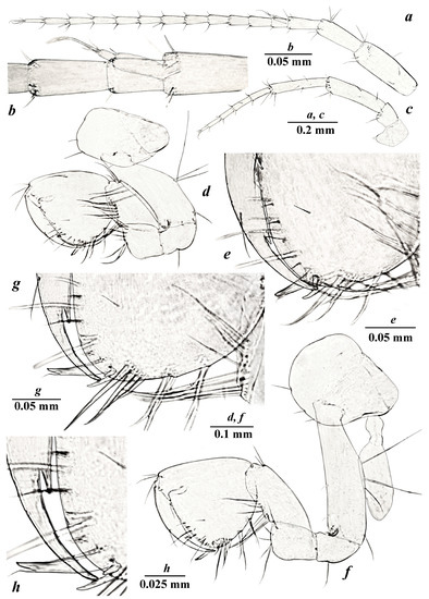 Diversity 15 00682 g003