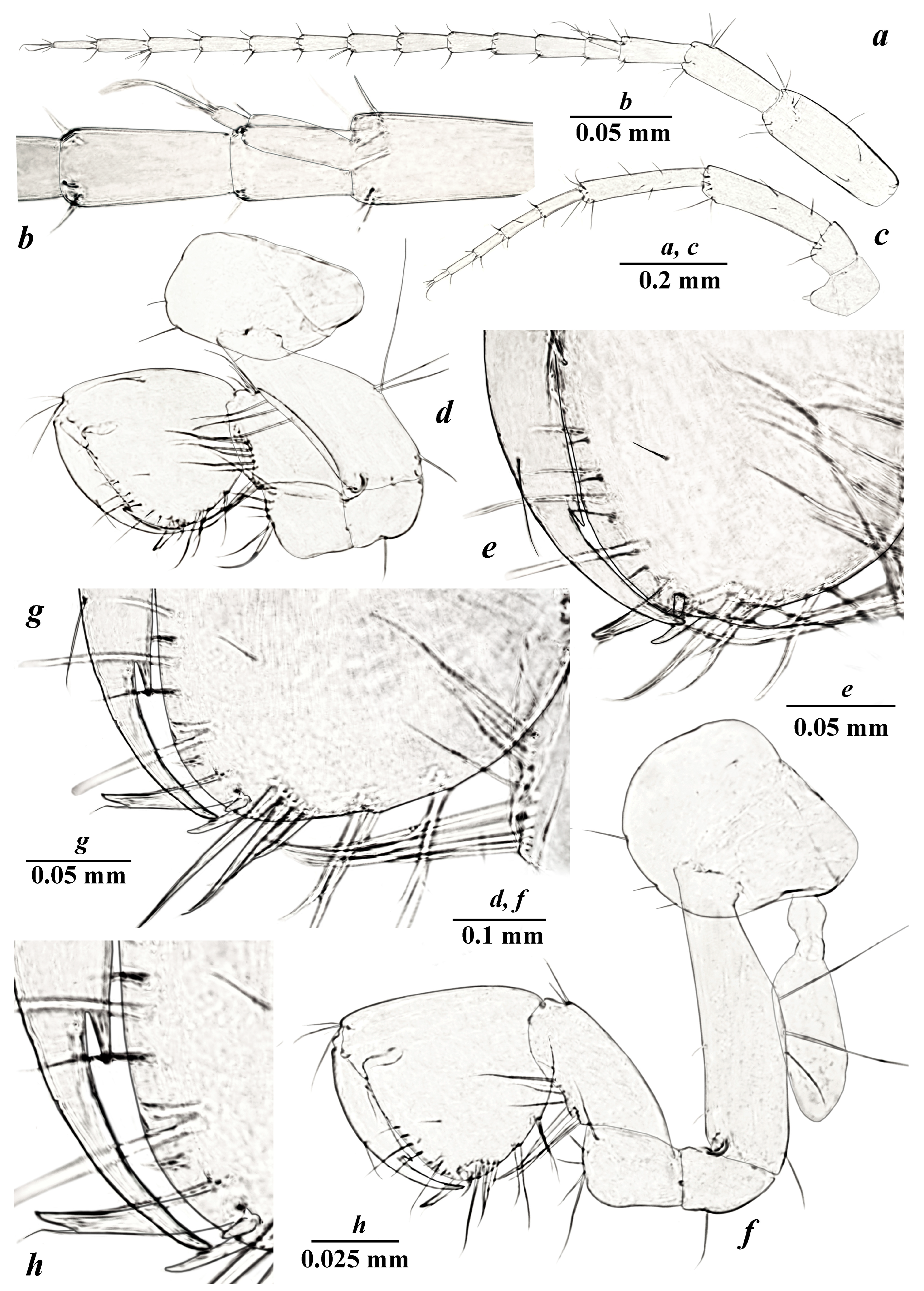 Diversity 15 00682 g003 Diversity 15 00682 g003