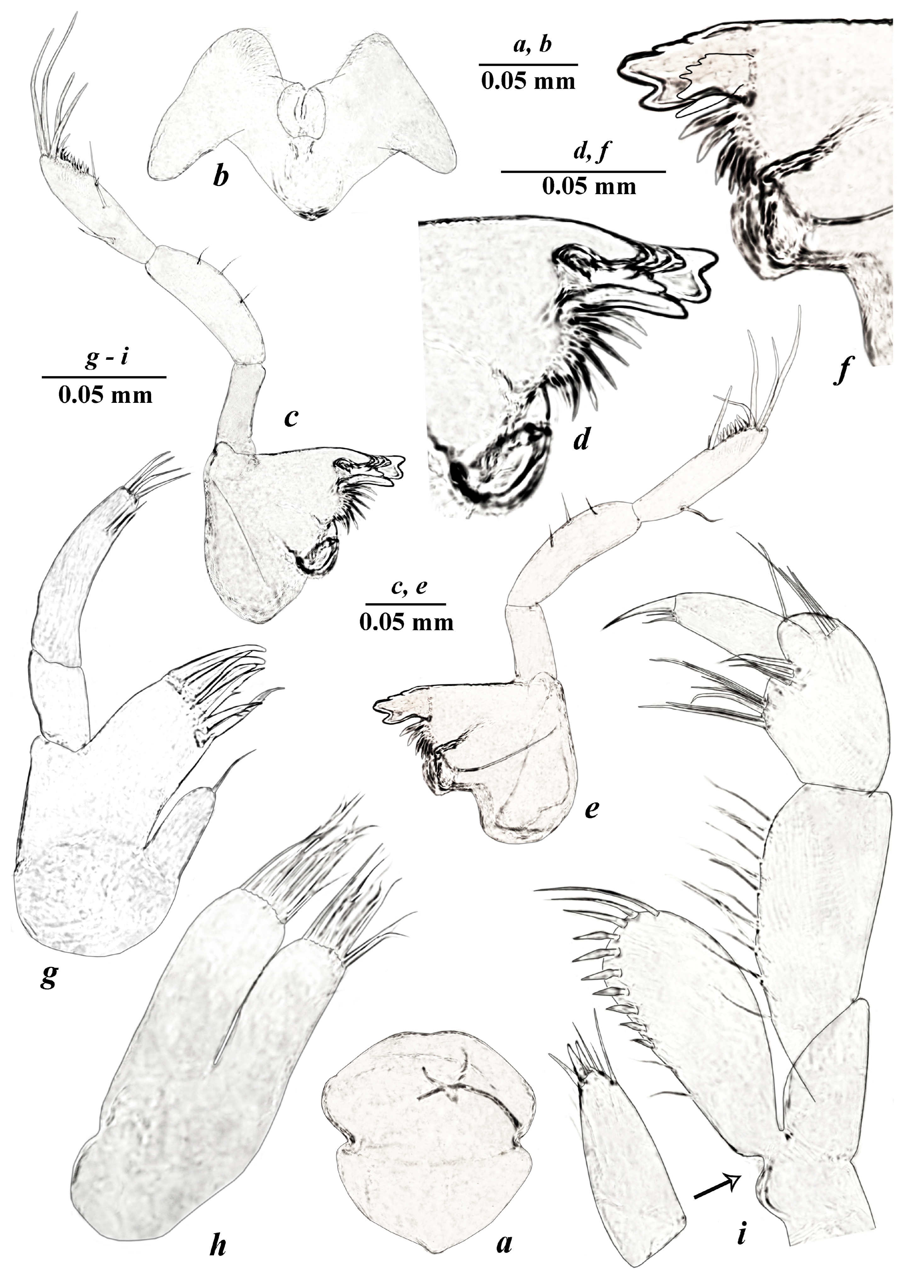 Diversity 15 00682 g004 Diversity 15 00682 g004