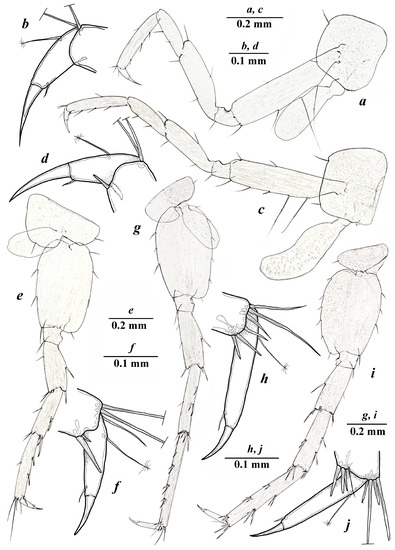 Diversity 15 00682 g005