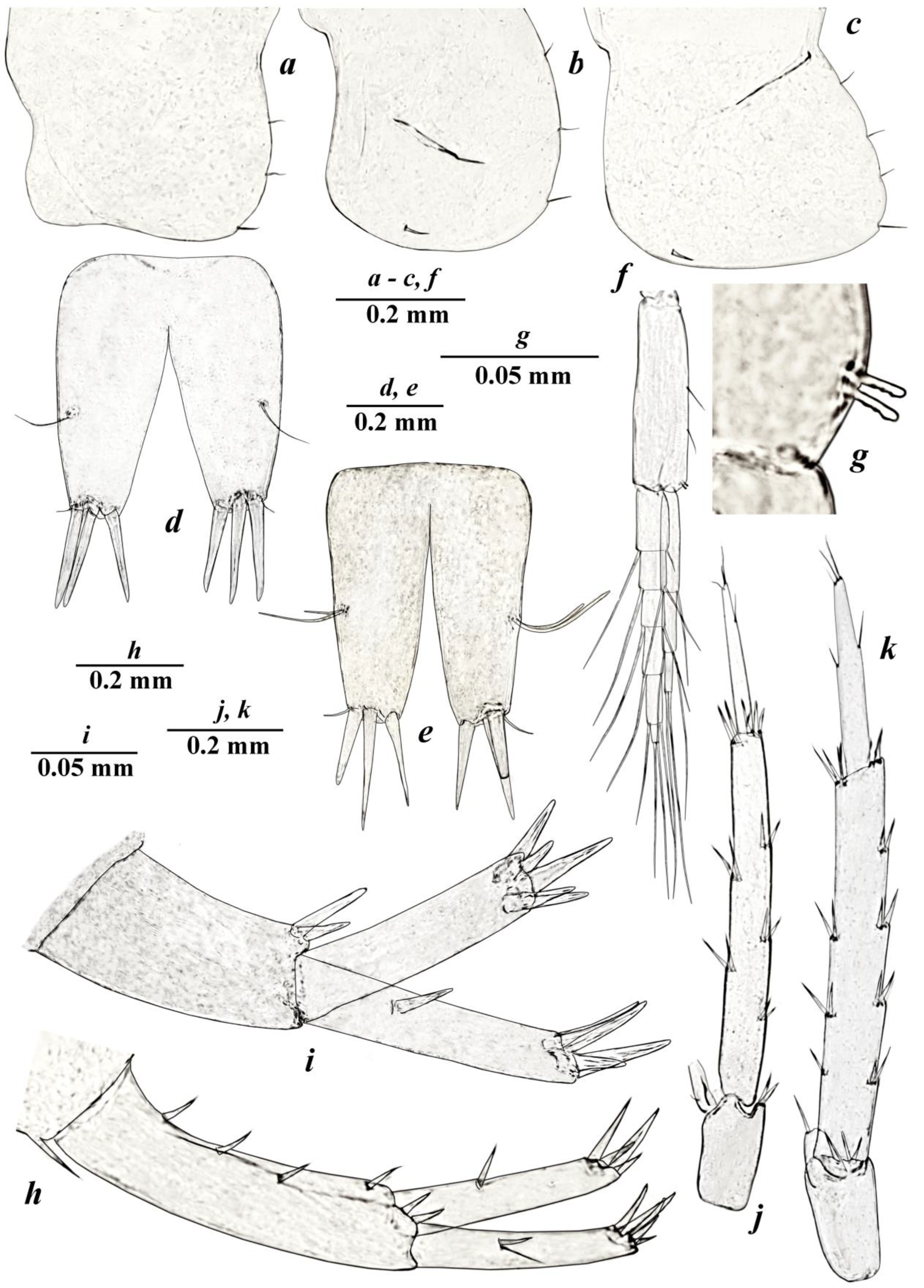 Diversity 15 00682 g006 Diversity 15 00682 g006