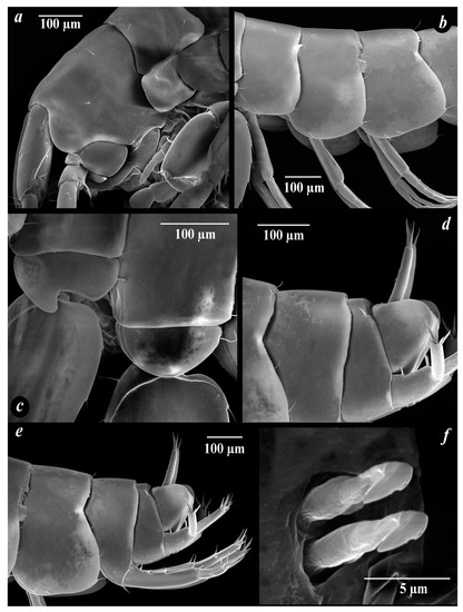 Diversity 15 00682 g007