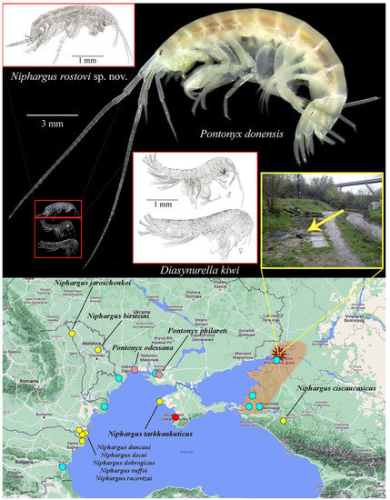 Diversity 15 00682 g009