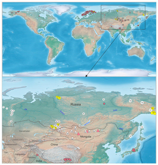 Diversity 15 00686 g001