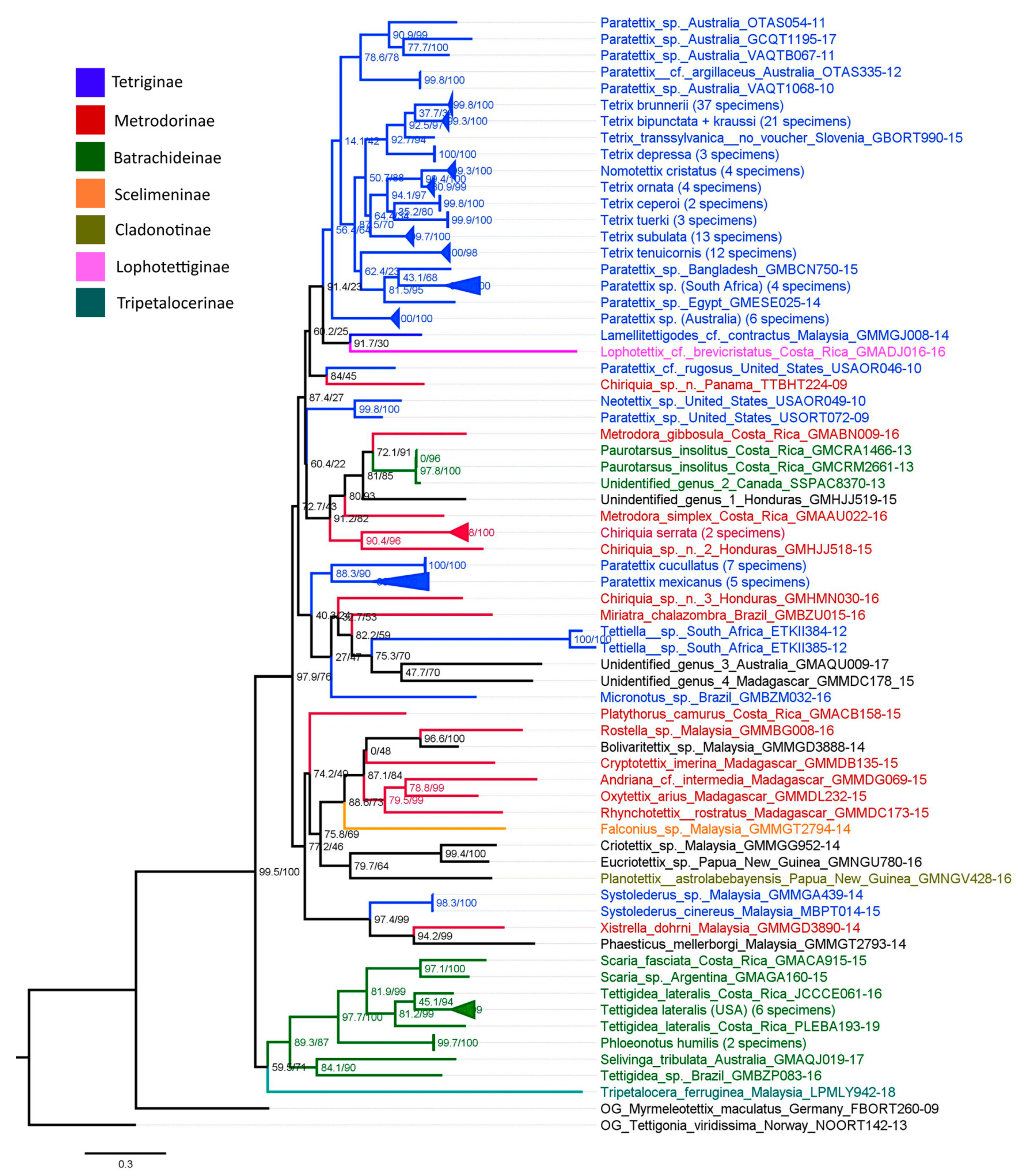 Diversity 15 00696 g006 Diversity 15 00696 g006