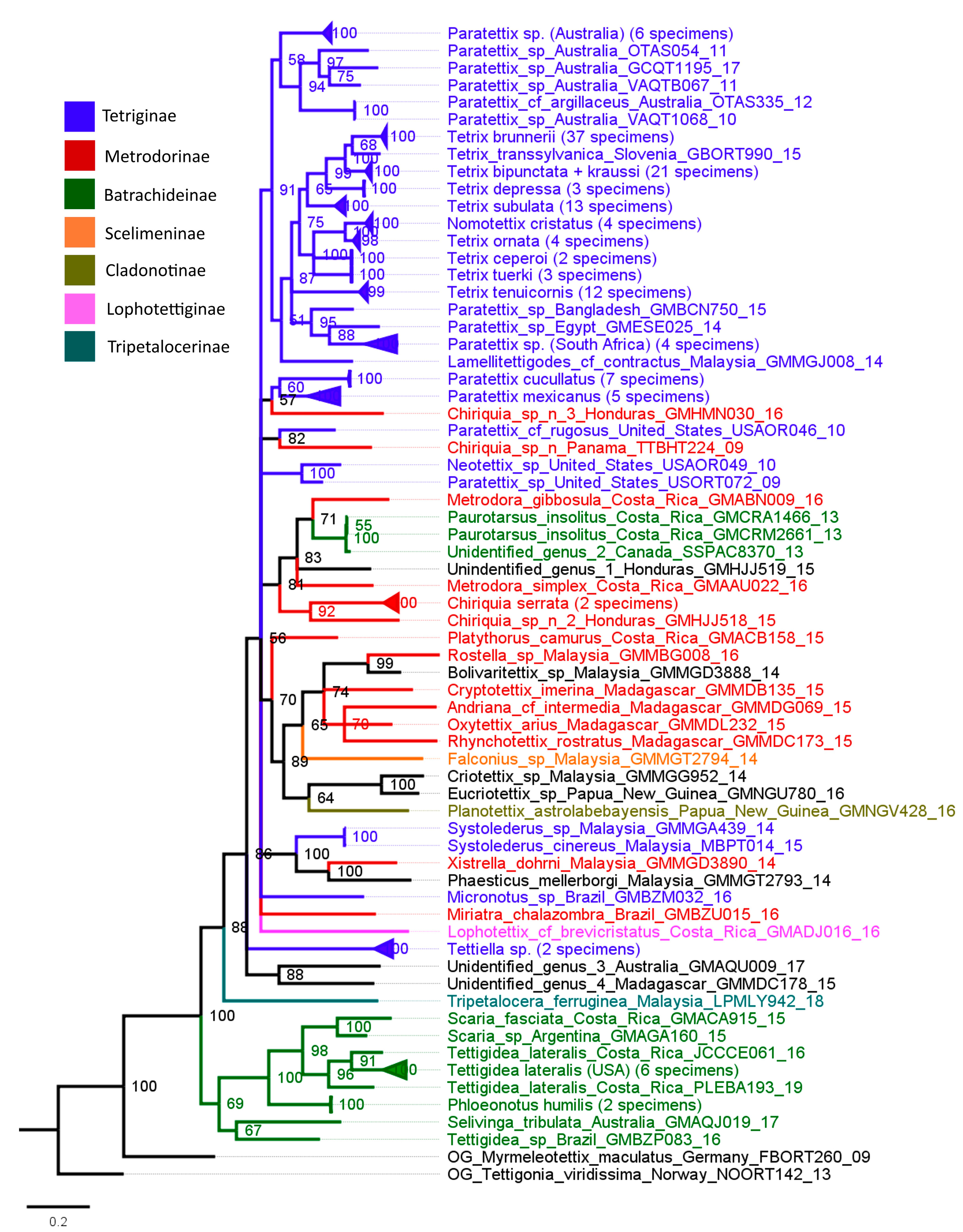 Diversity 15 00696 g007 Diversity 15 00696 g007