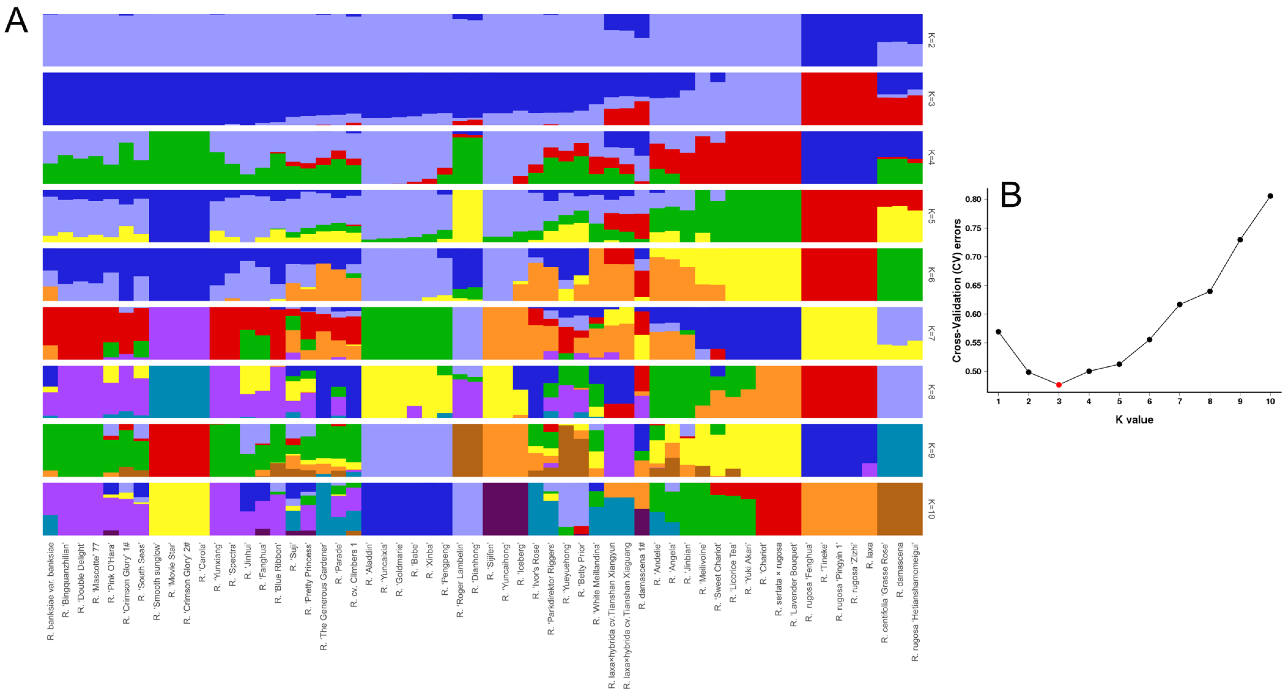 Diversity 15 00701 g002
