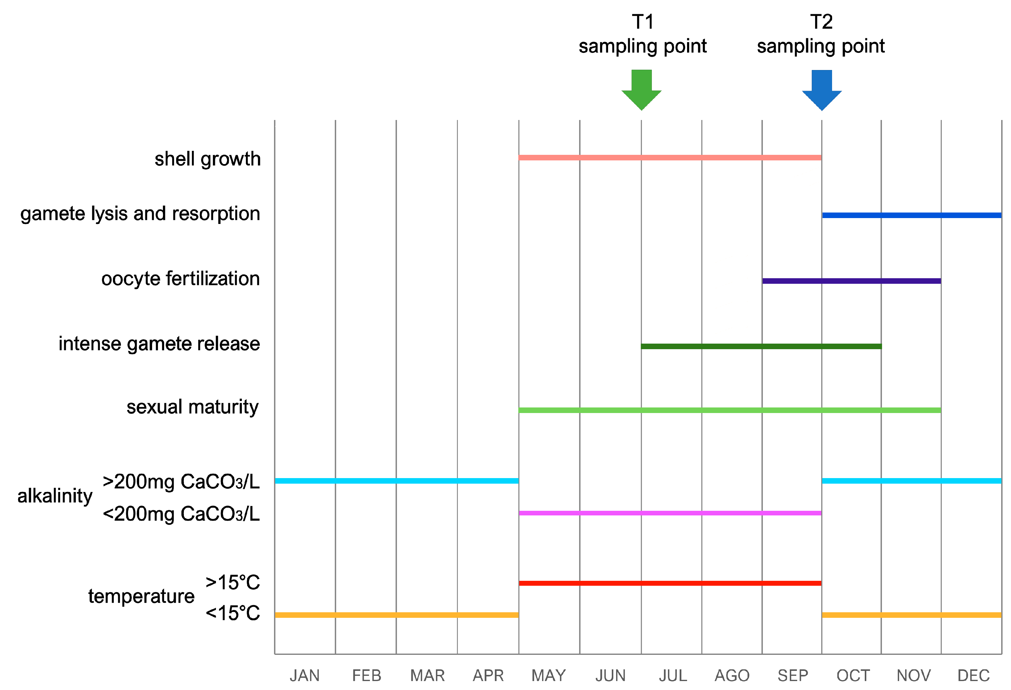 Diversity 15 00707 g003