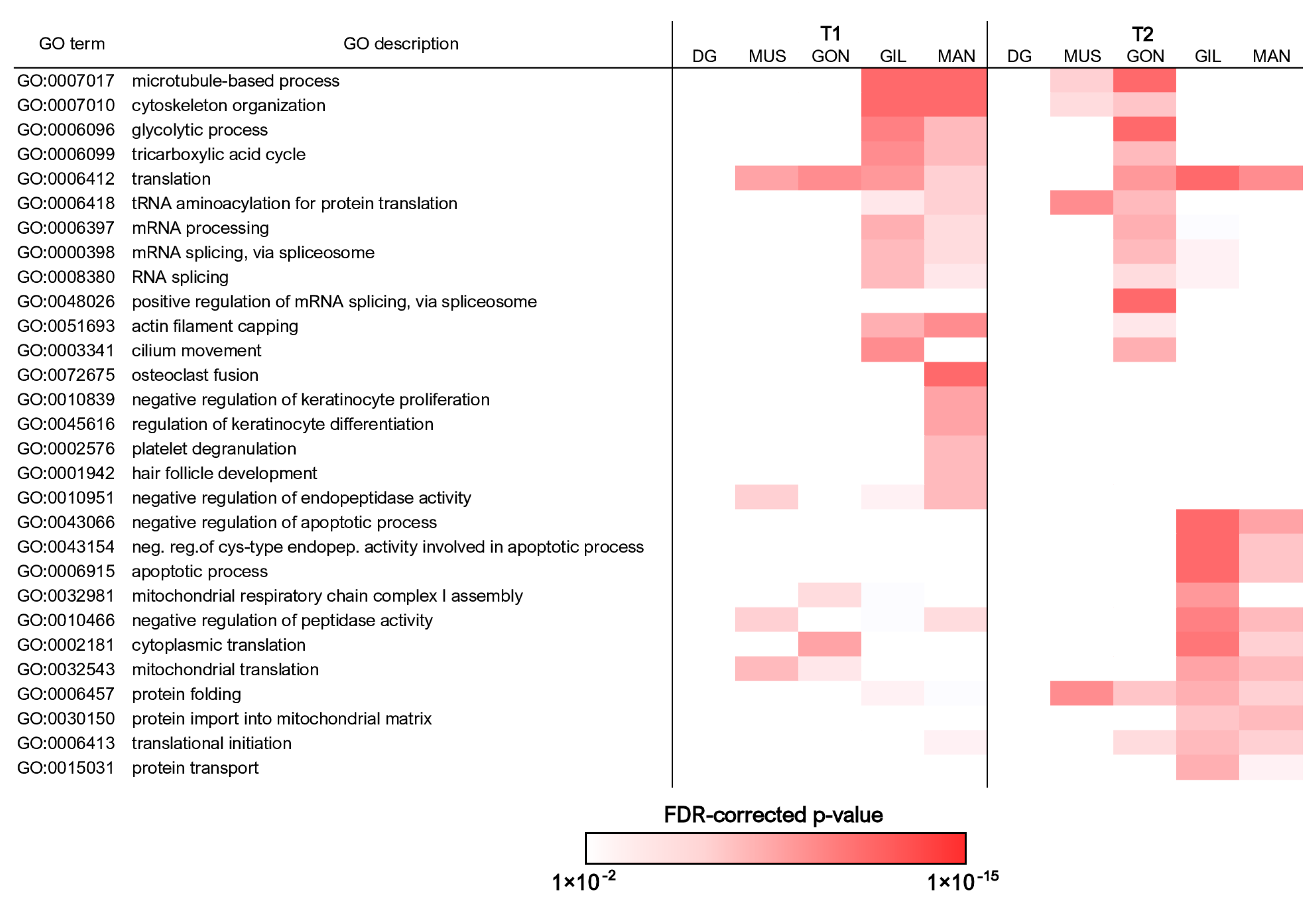 Diversity 15 00707 g004