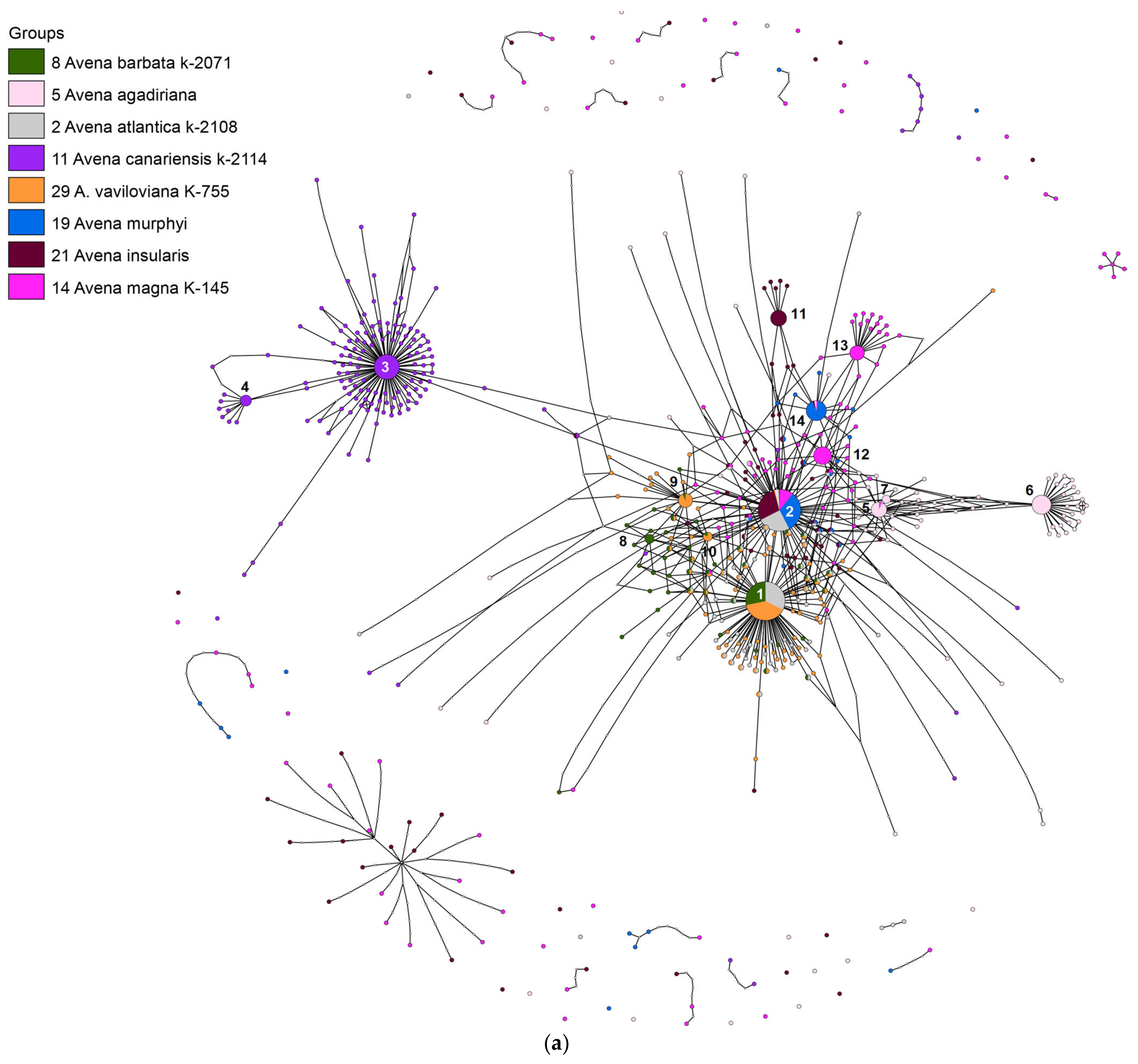 Diversity 15 00717 g001a