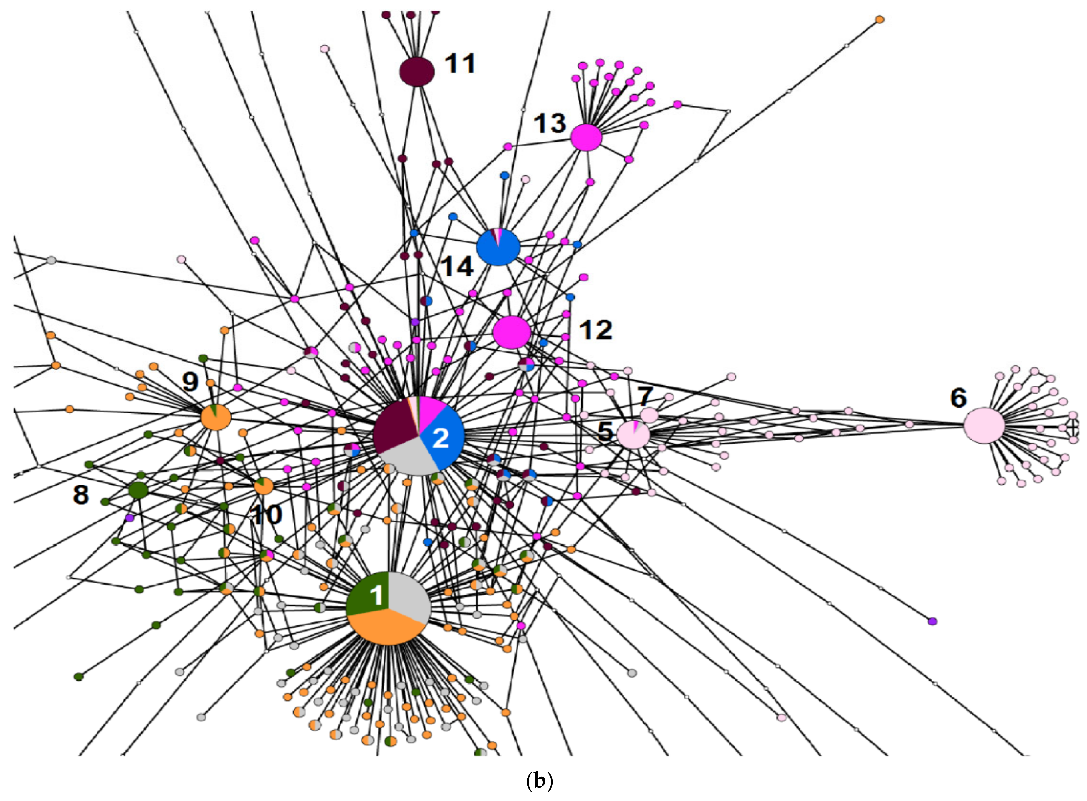 Diversity 15 00717 g001b