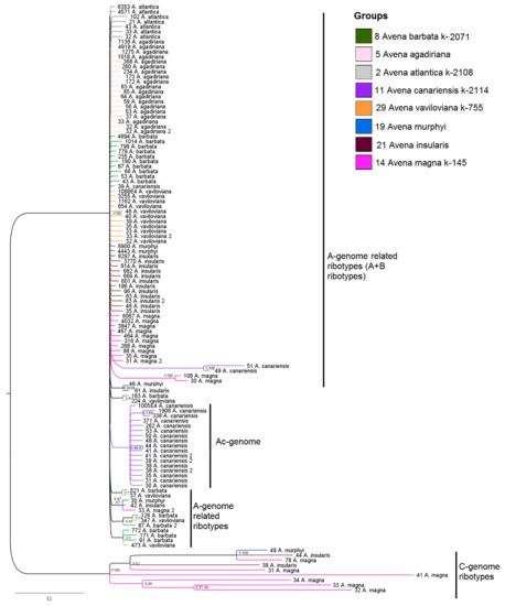 Diversity 15 00717 g002