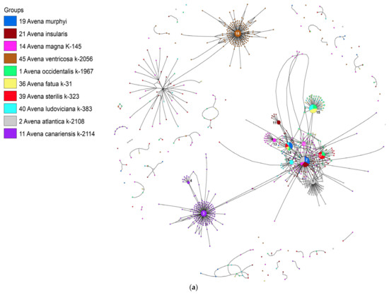 Diversity 15 00717 g003a