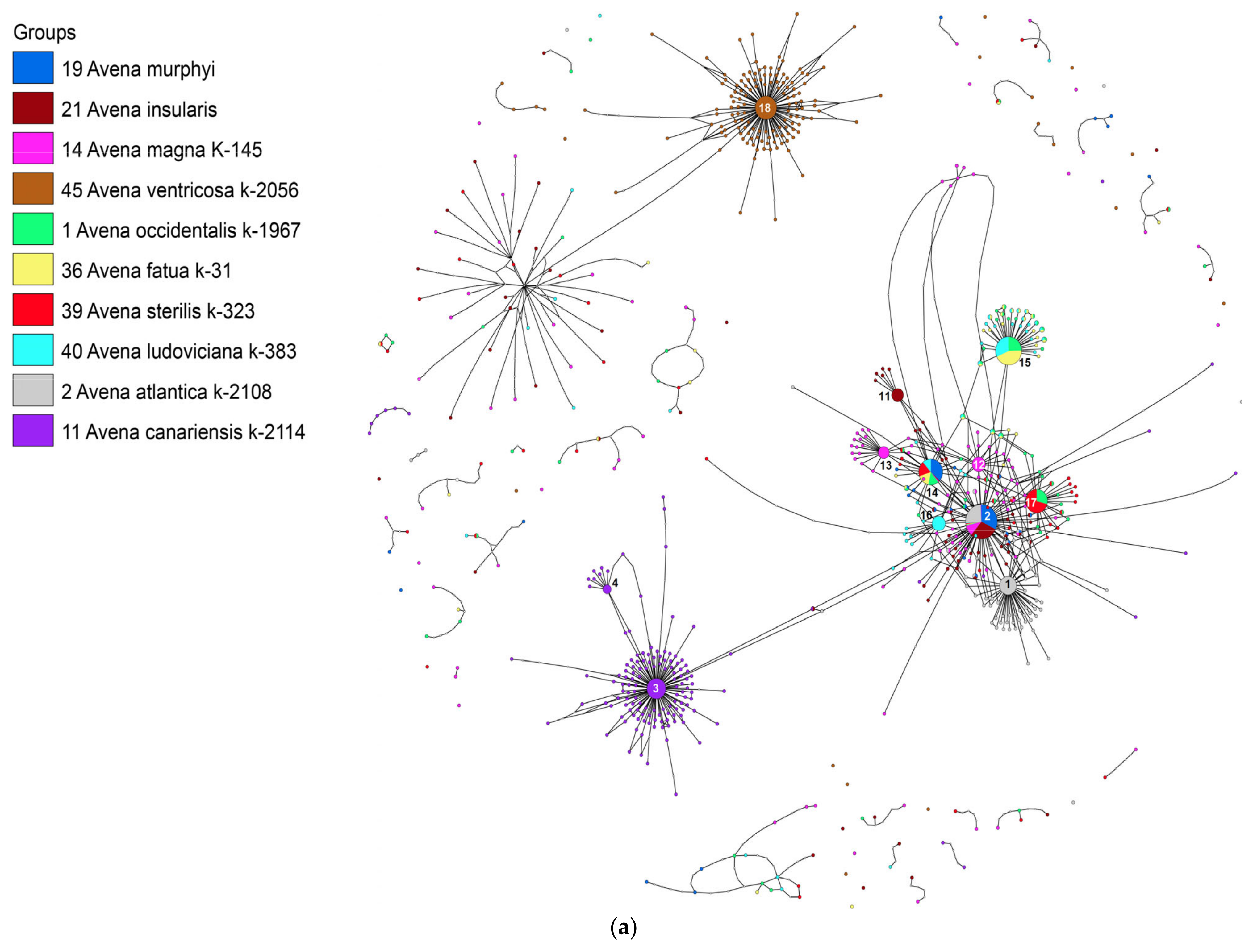 Diversity 15 00717 g003a