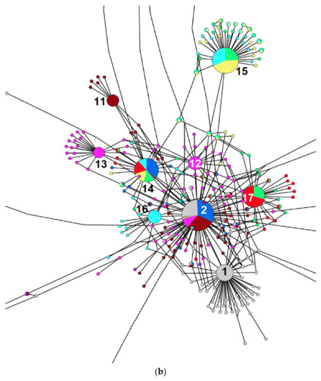 Diversity 15 00717 g003b